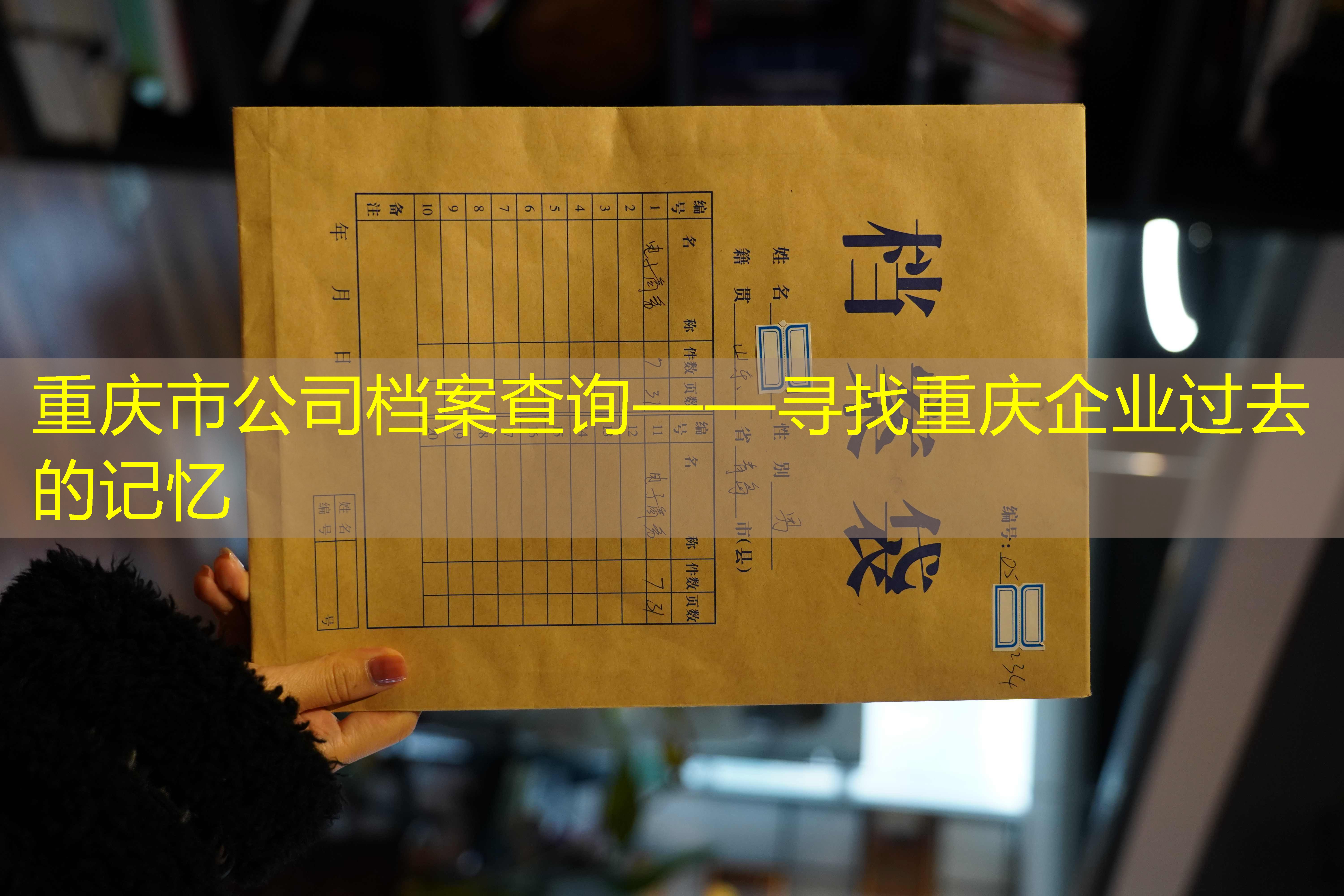 档案查询