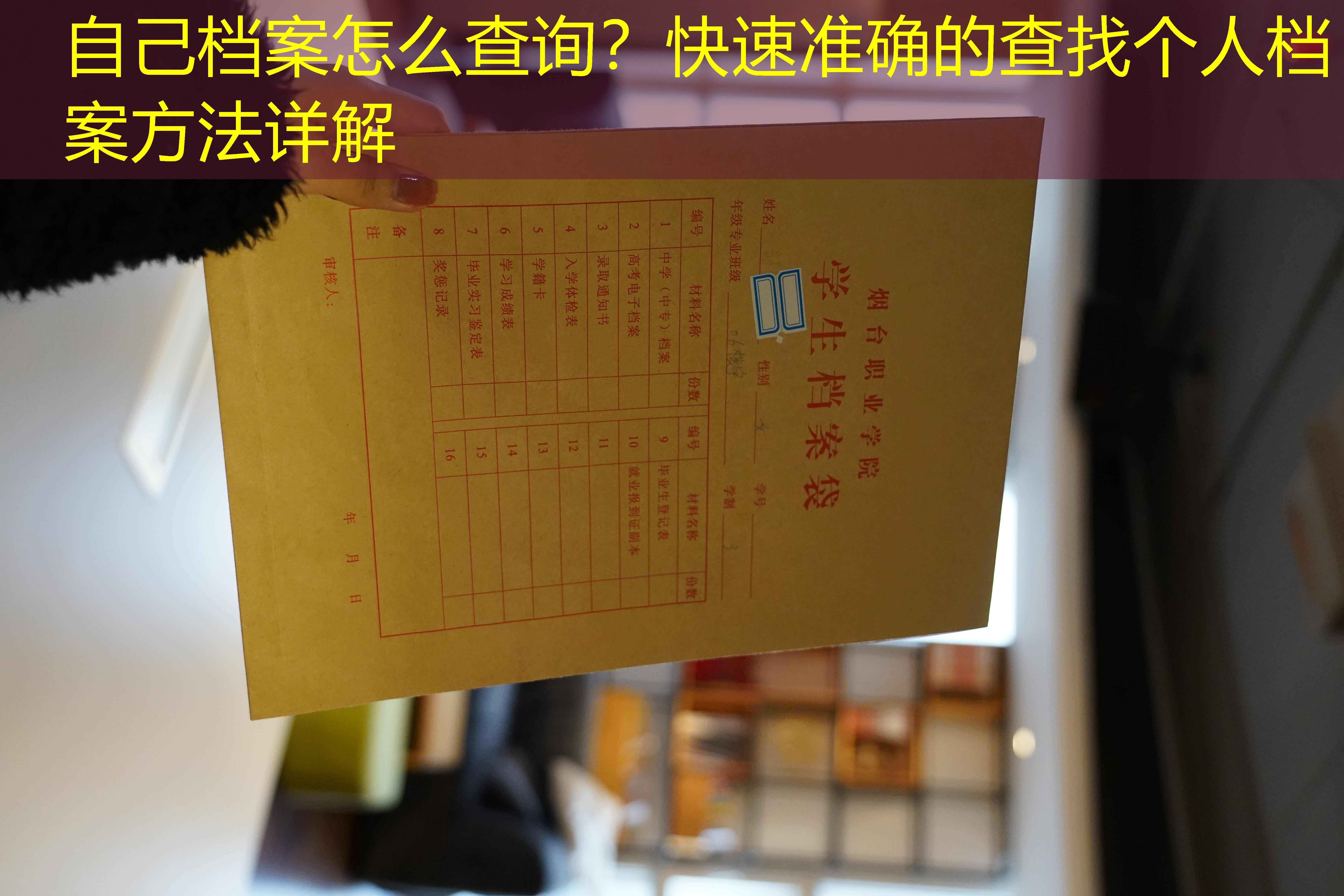档案查询
