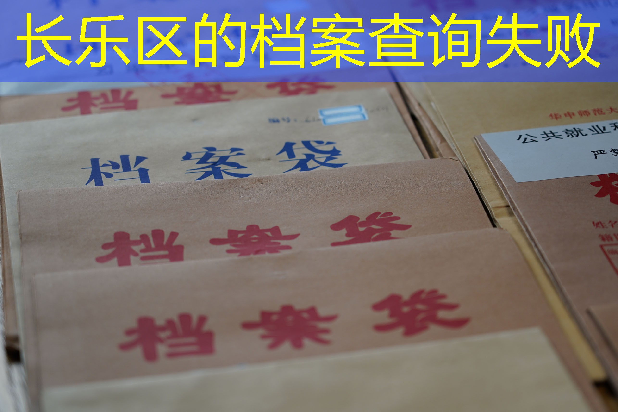 档案查询