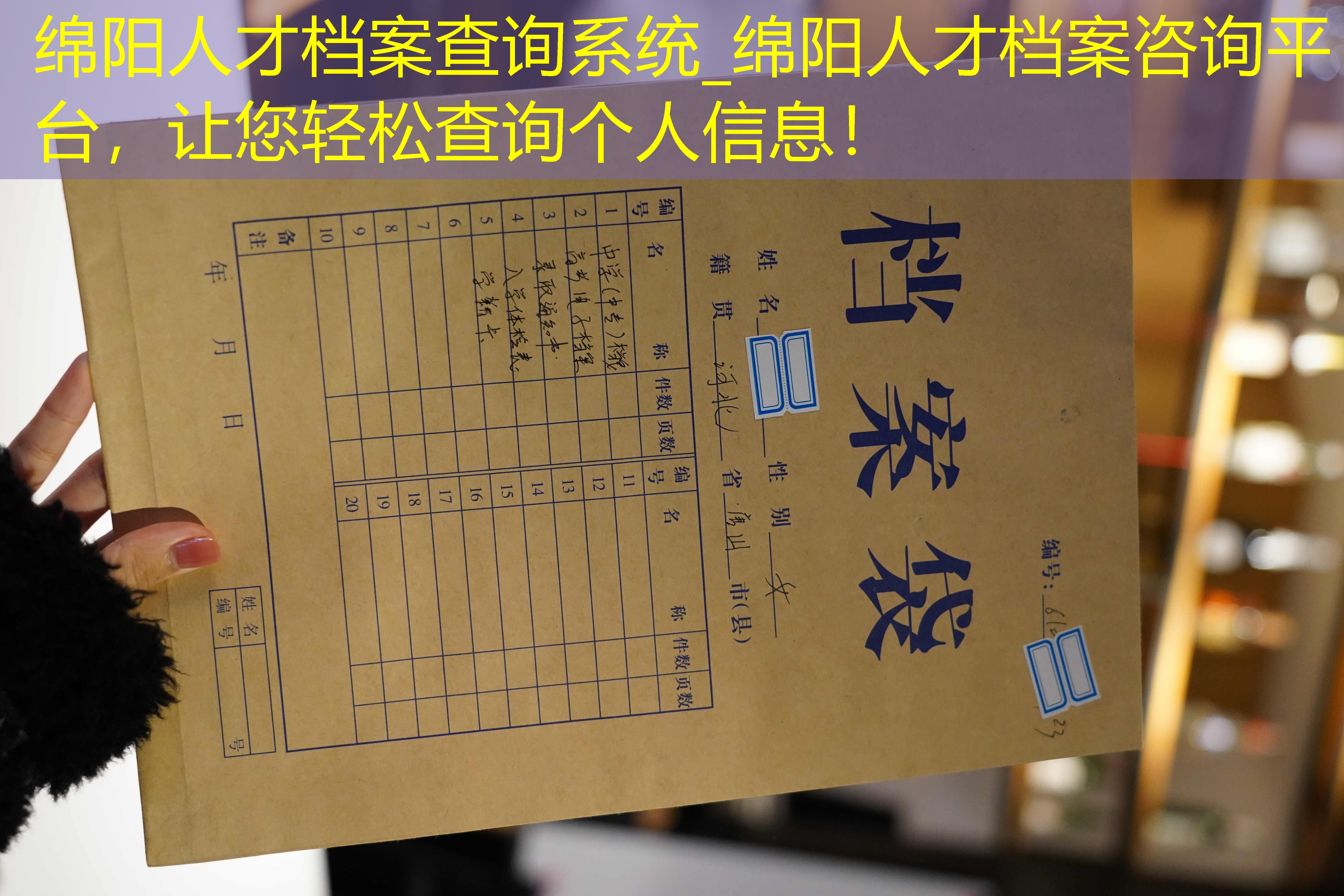 档案查询