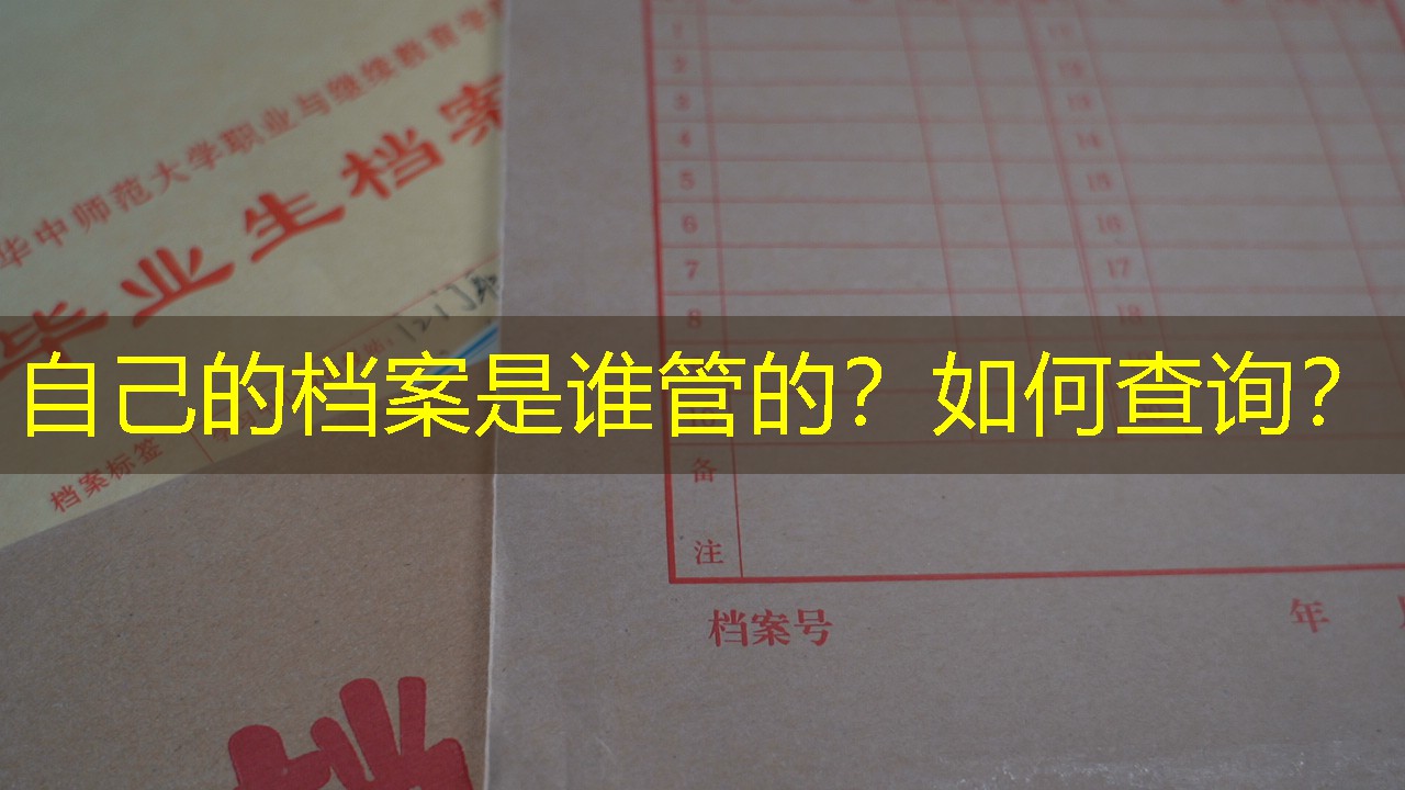 档案查询