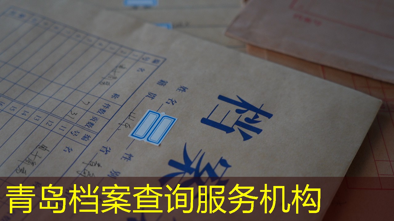 档案查询