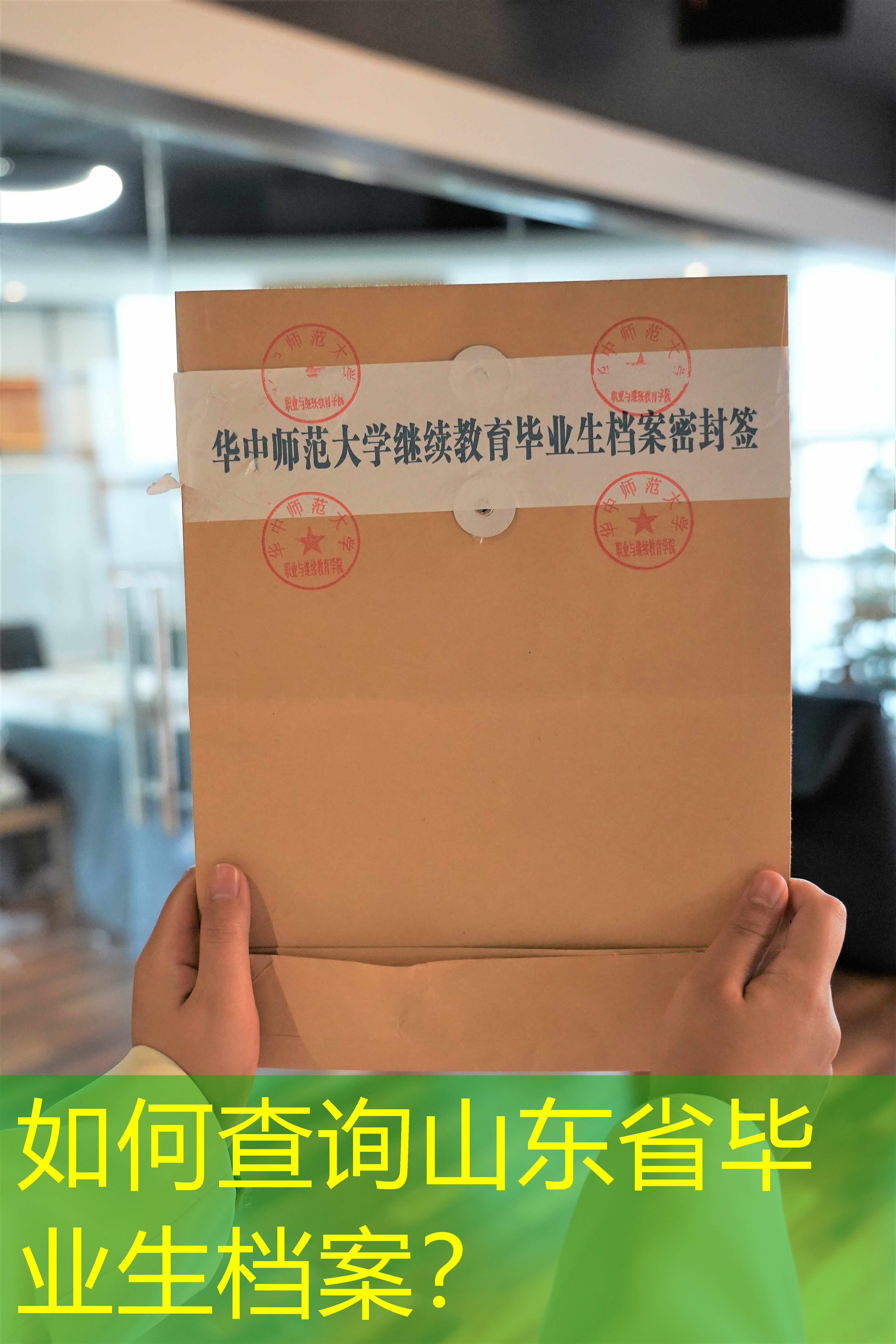 档案查询