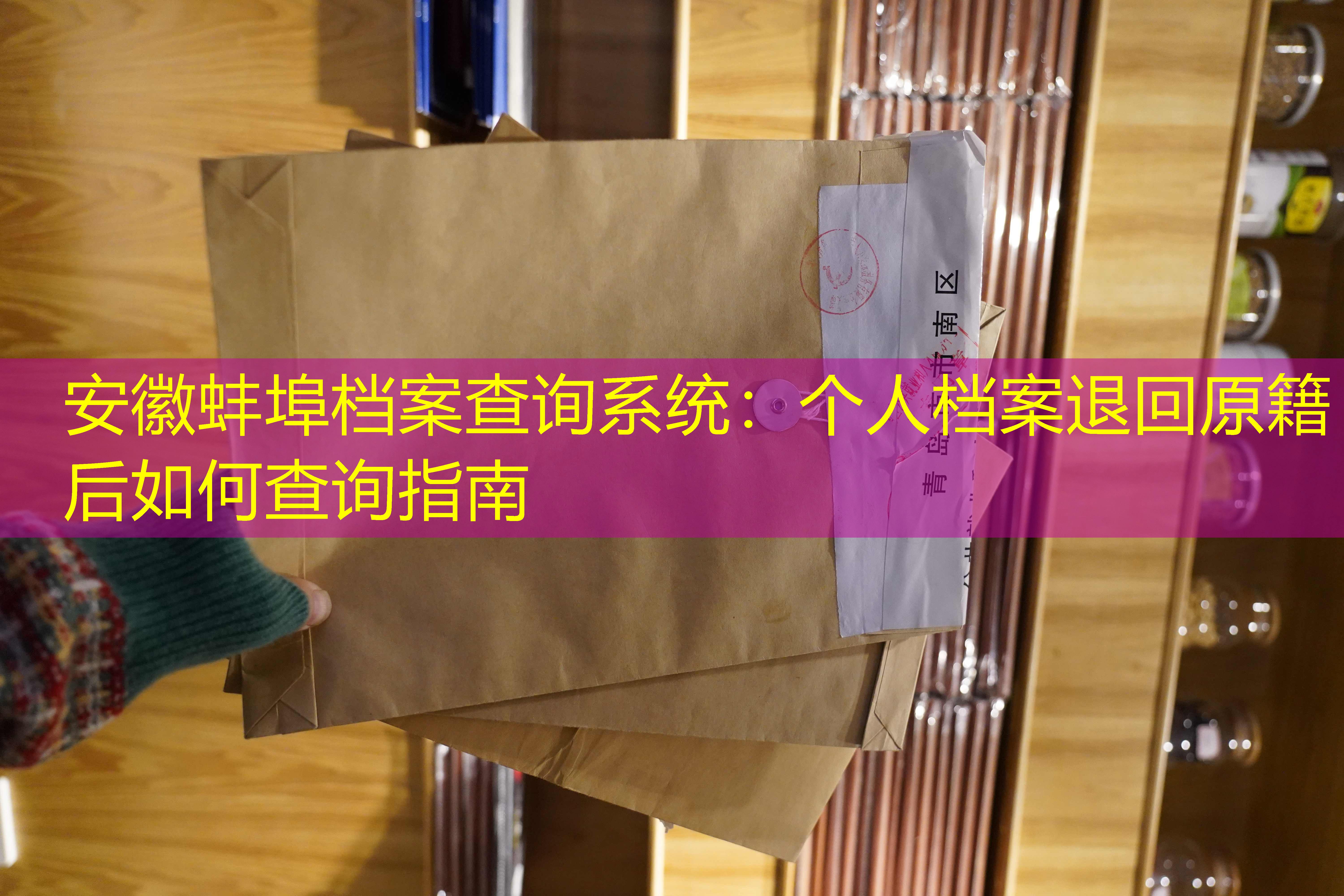 档案查询