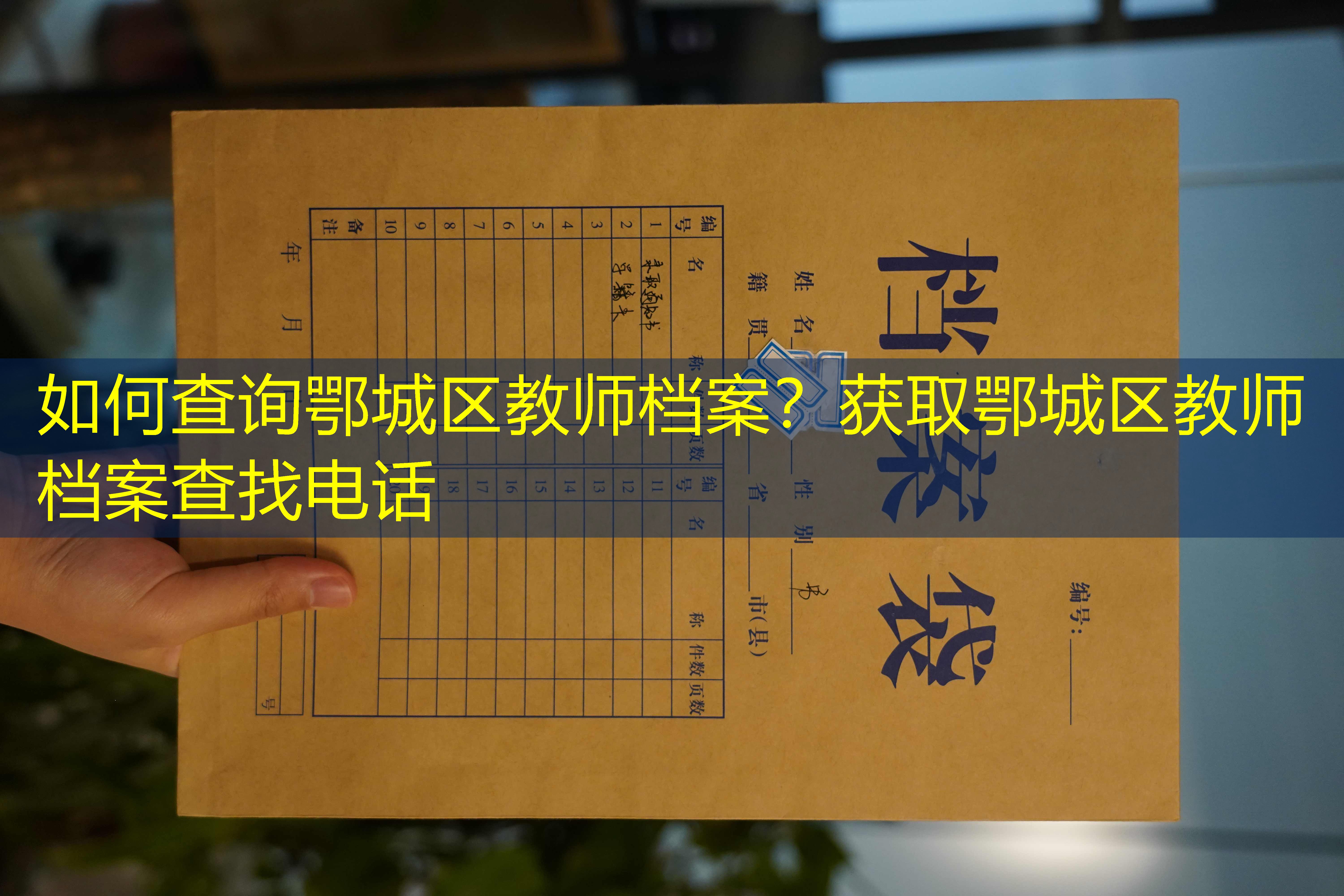 档案查询