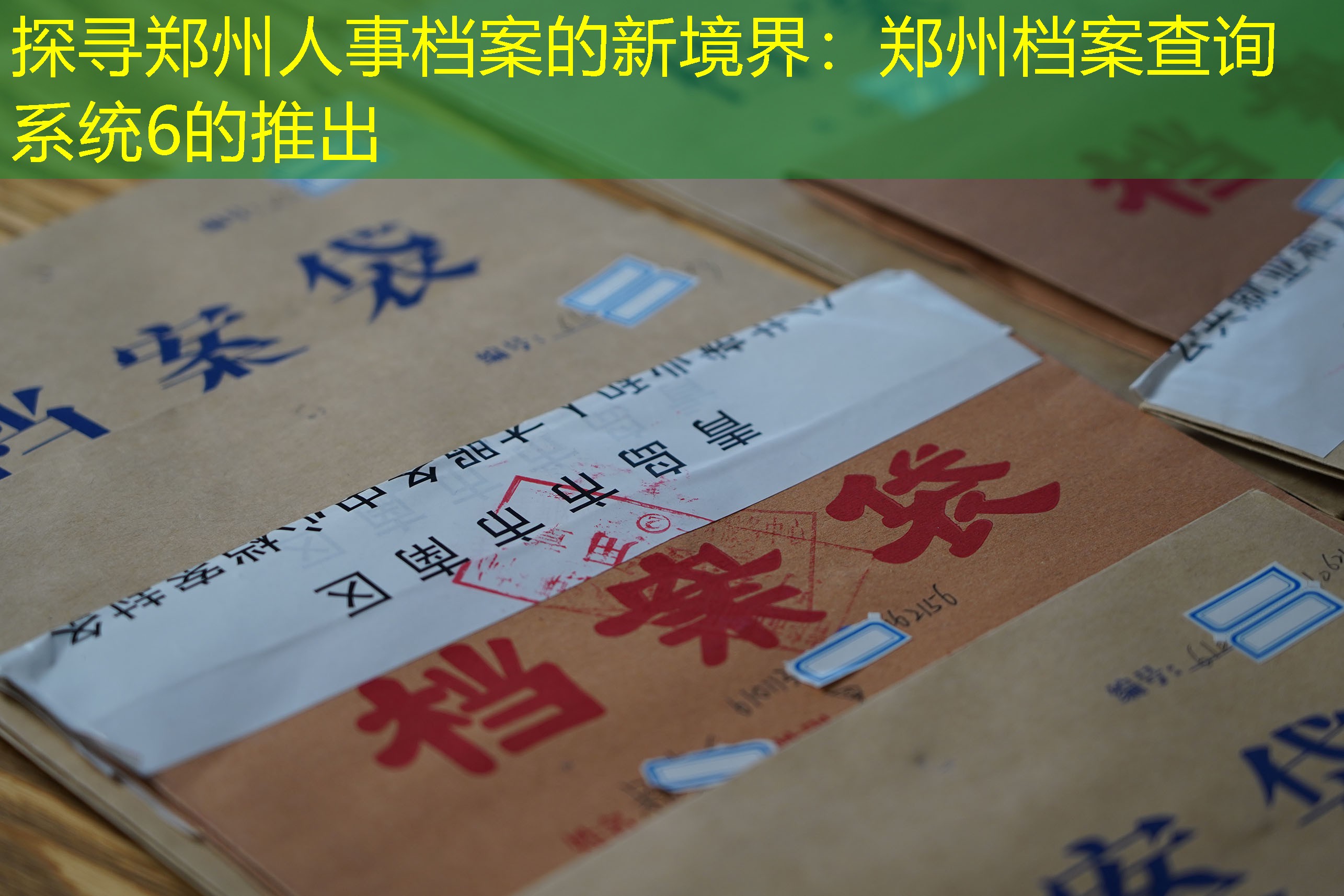 档案查询