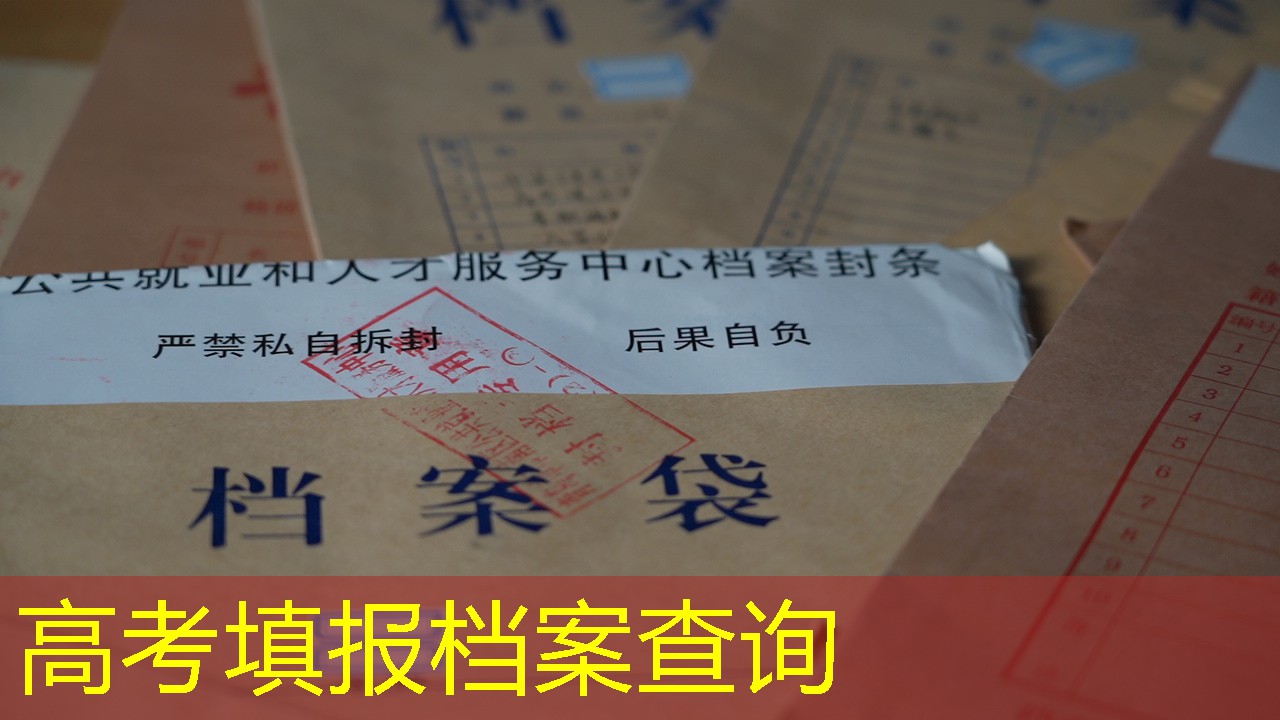 档案查询