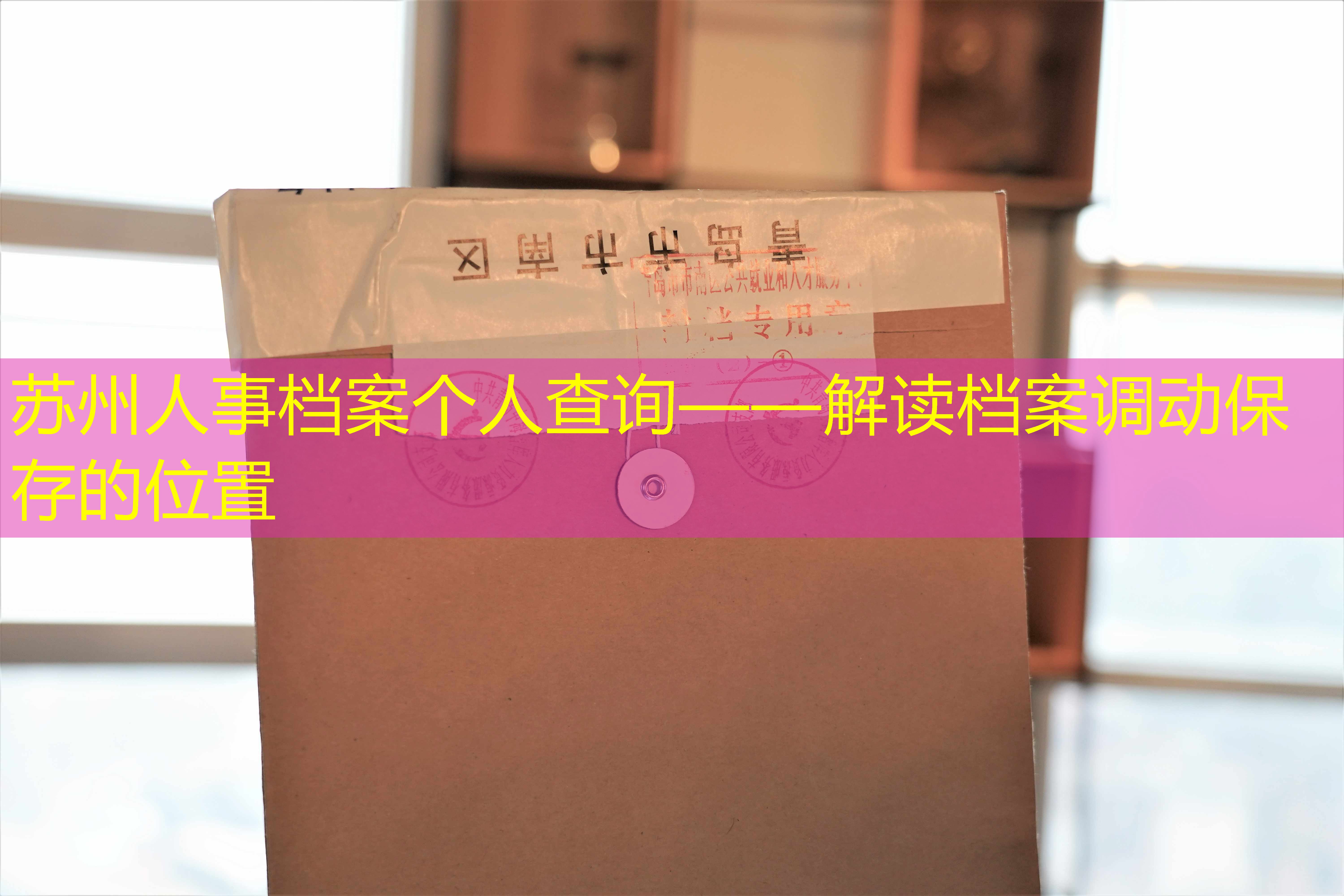 档案查询