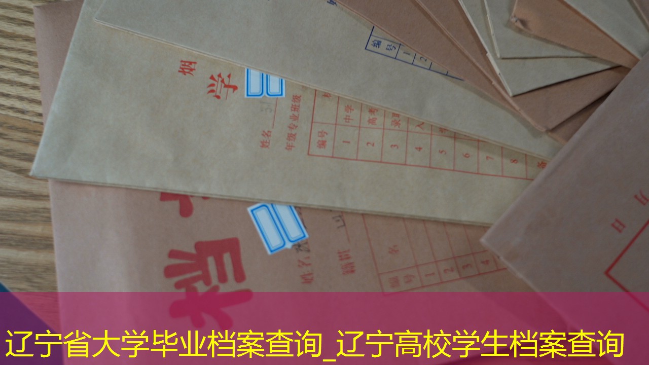 档案查询