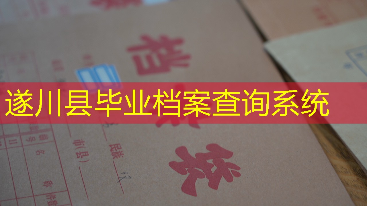 档案查询