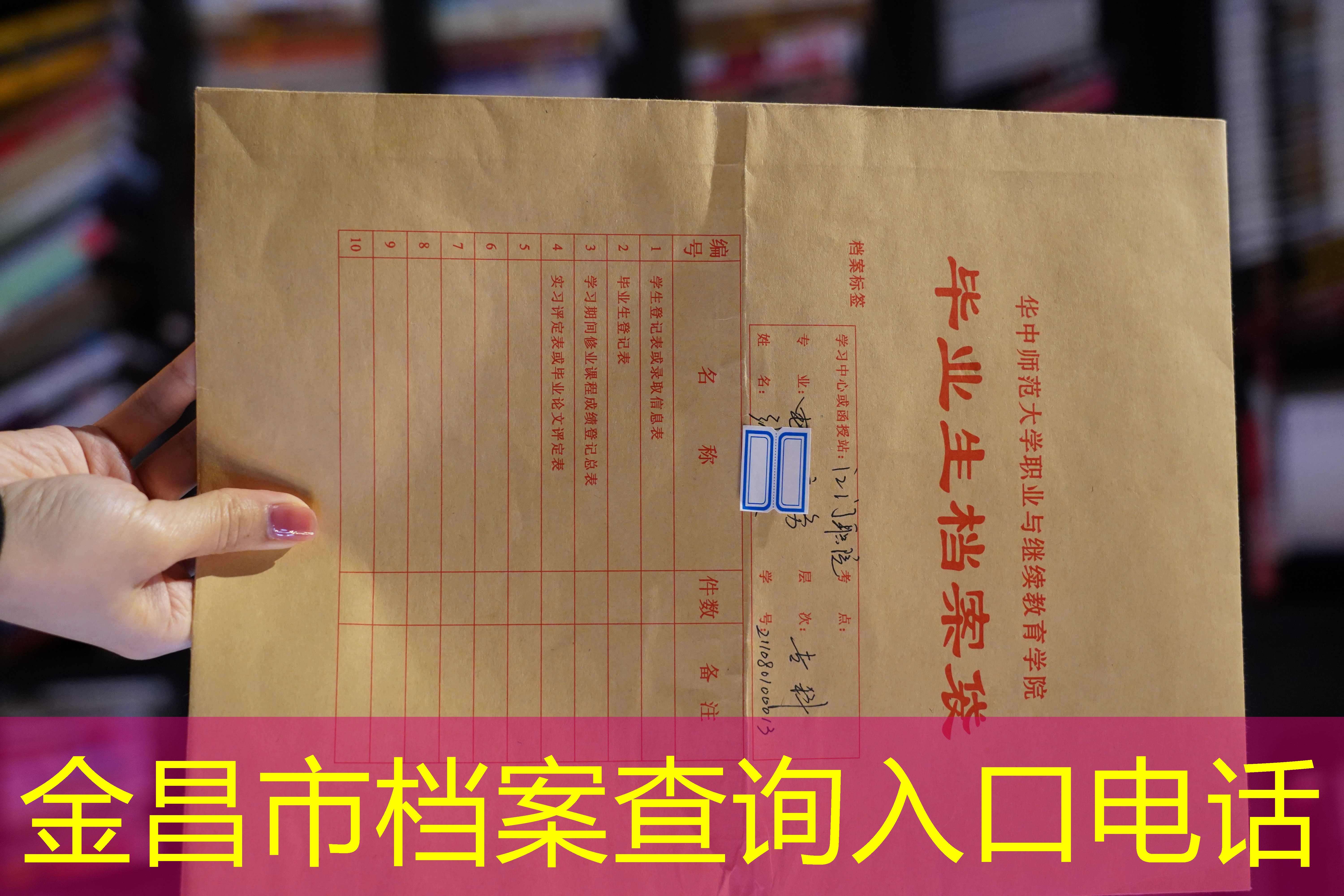 档案查询