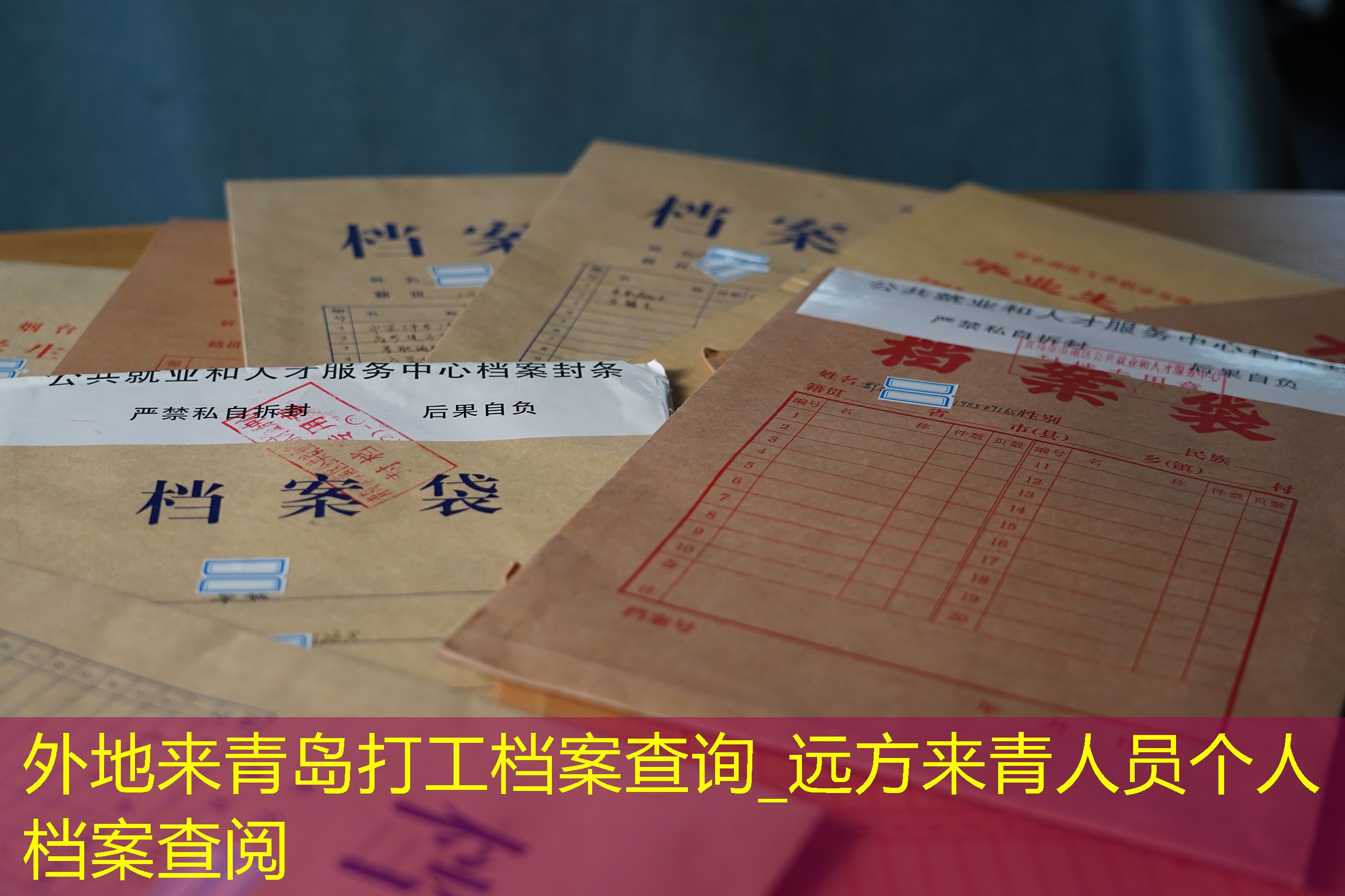 档案查询