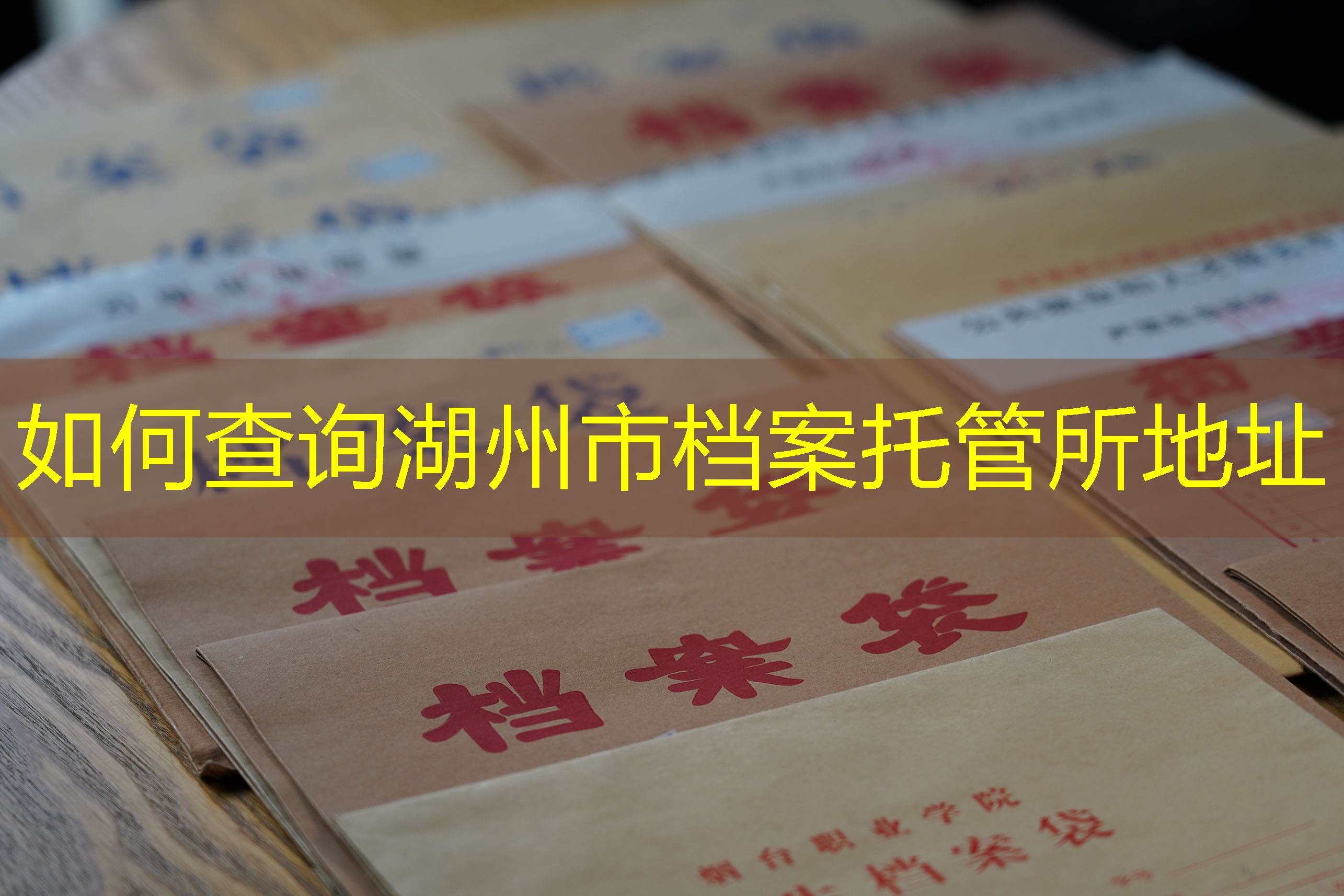 档案查询