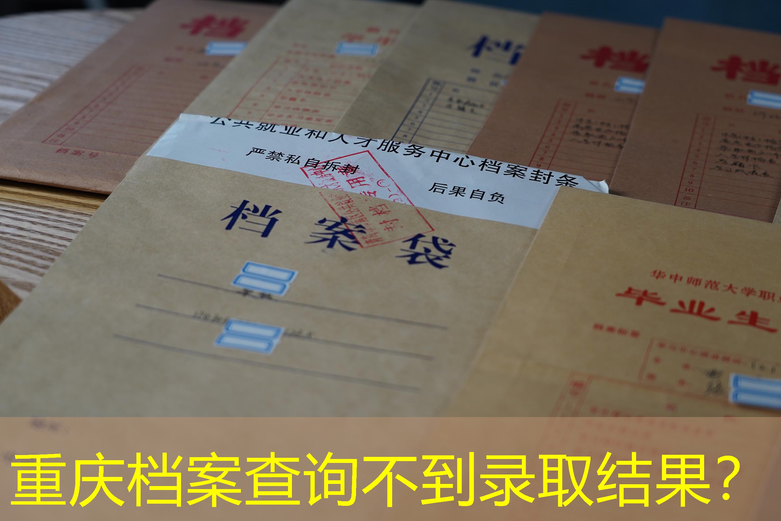 档案查询