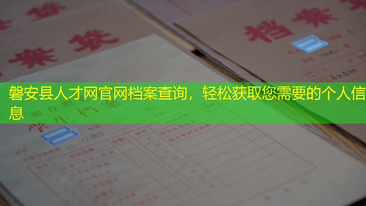 档案查询