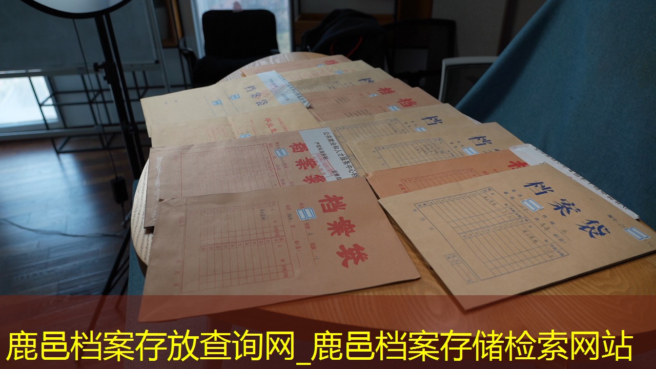档案查询