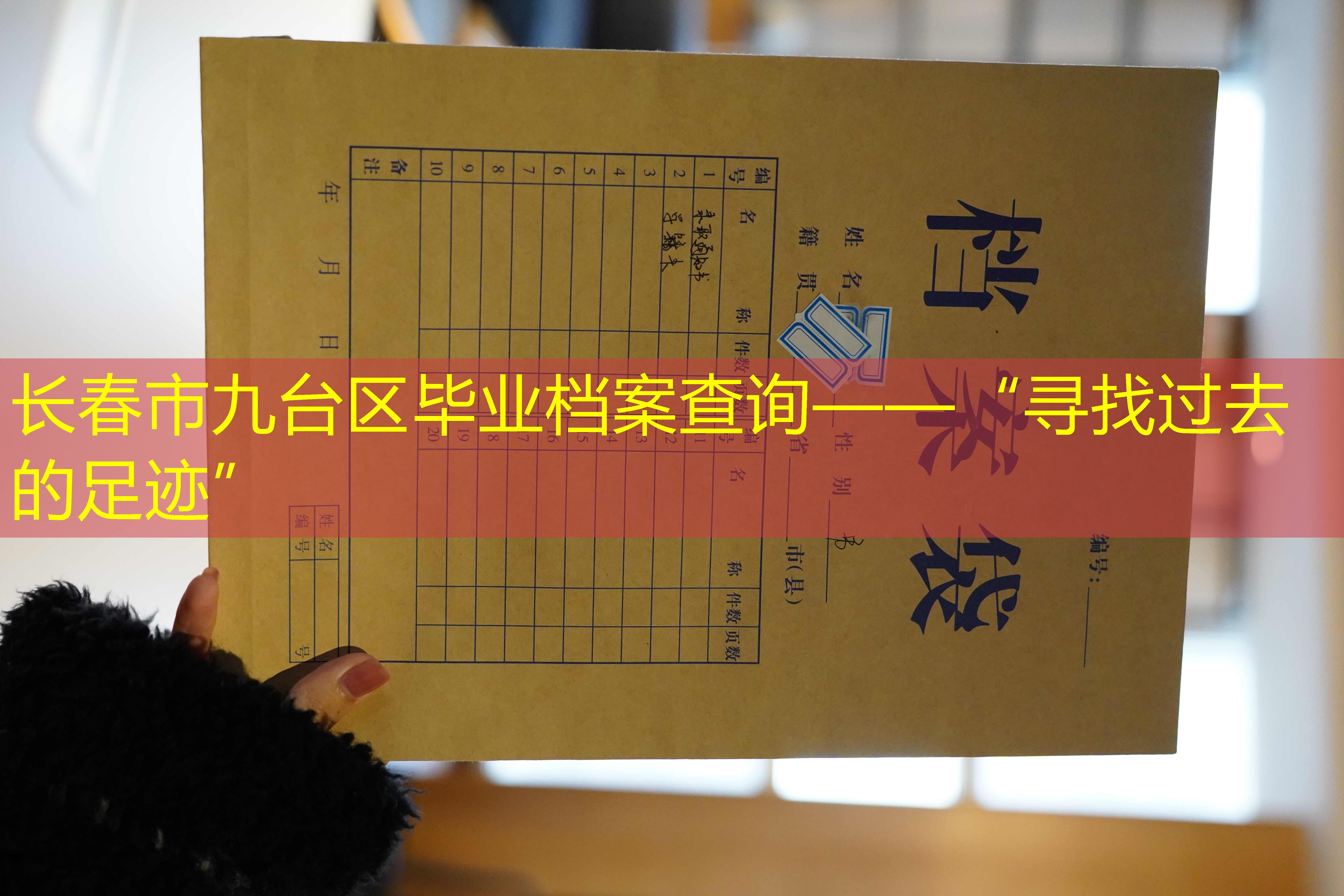 档案查询