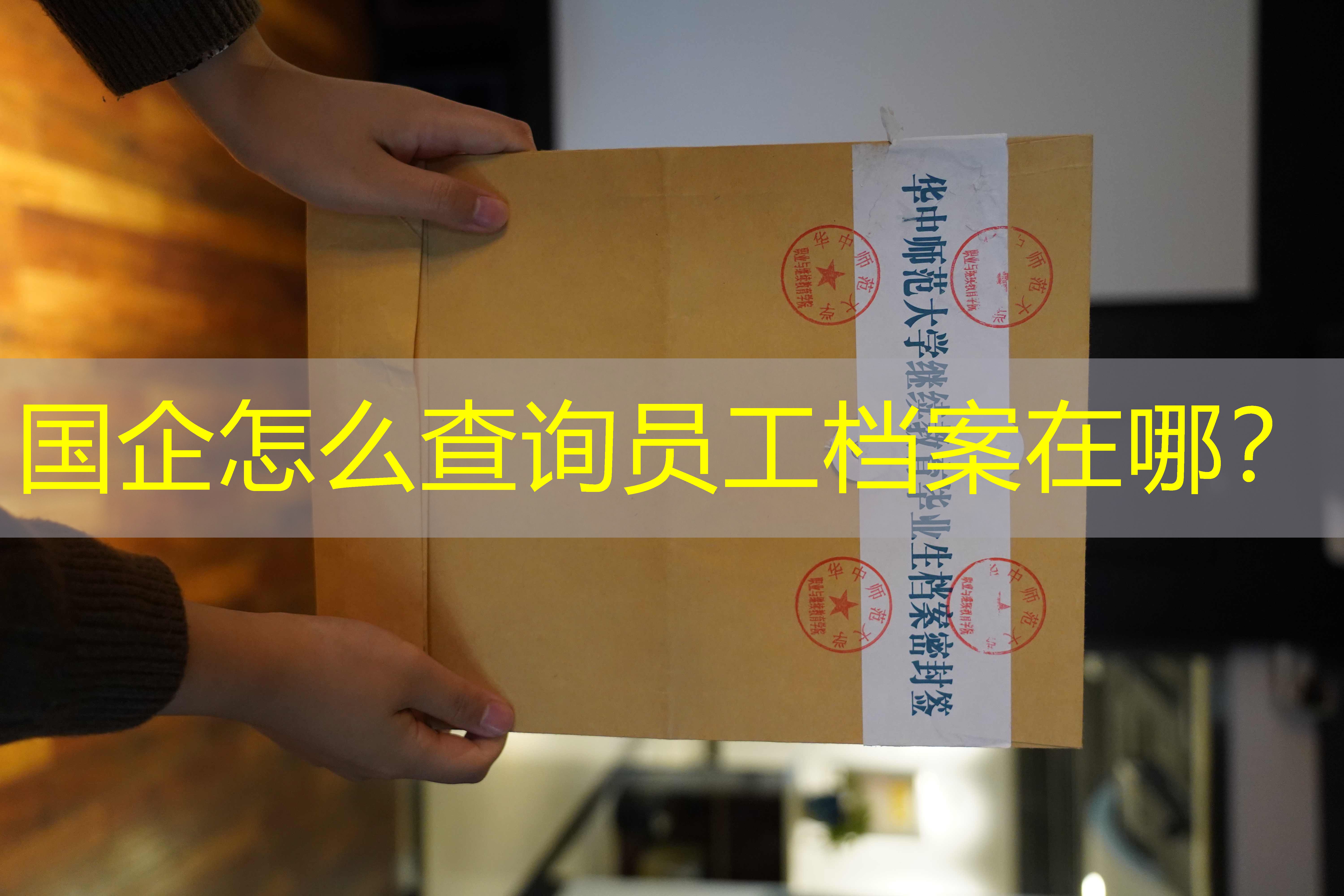 档案查询