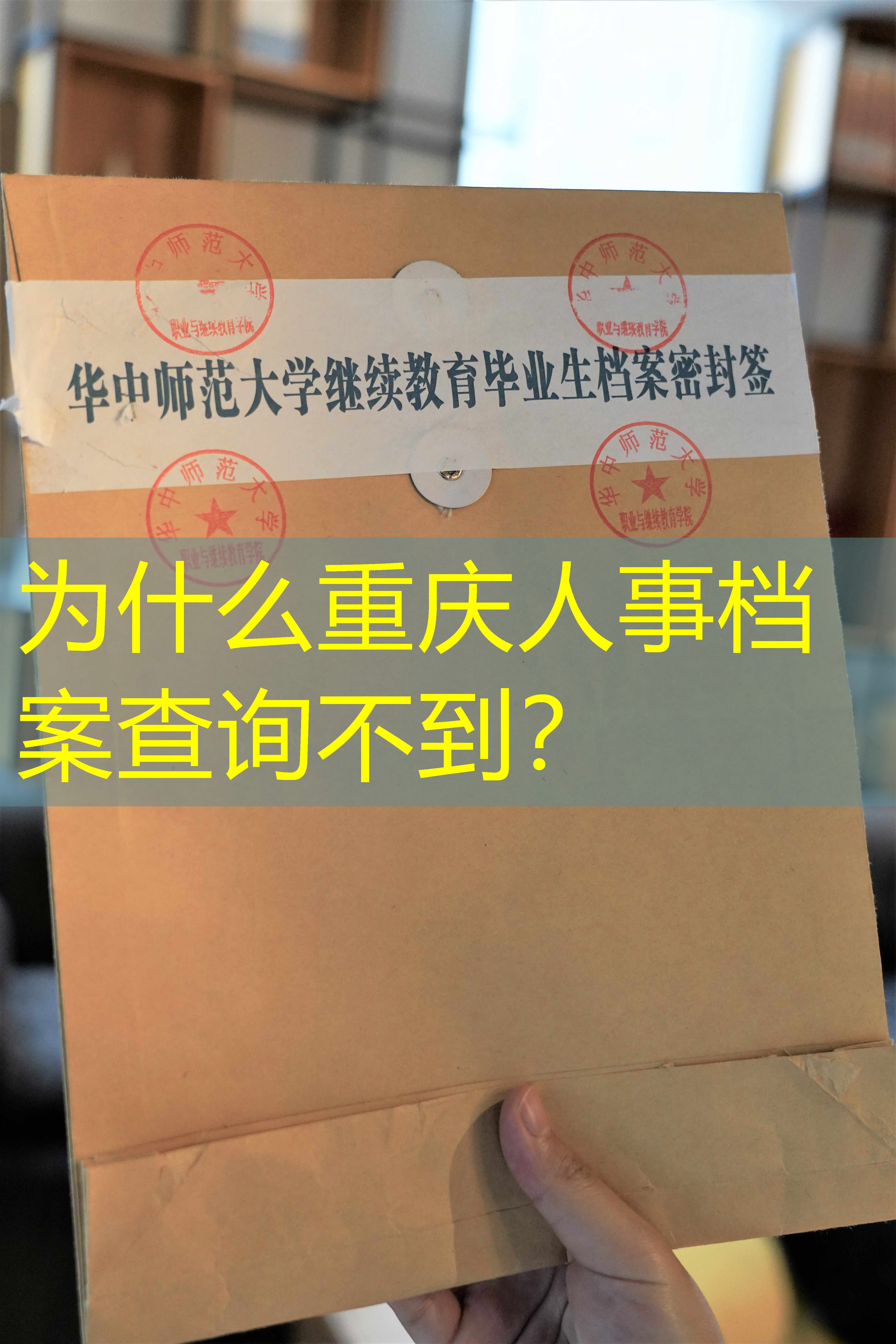 档案查询