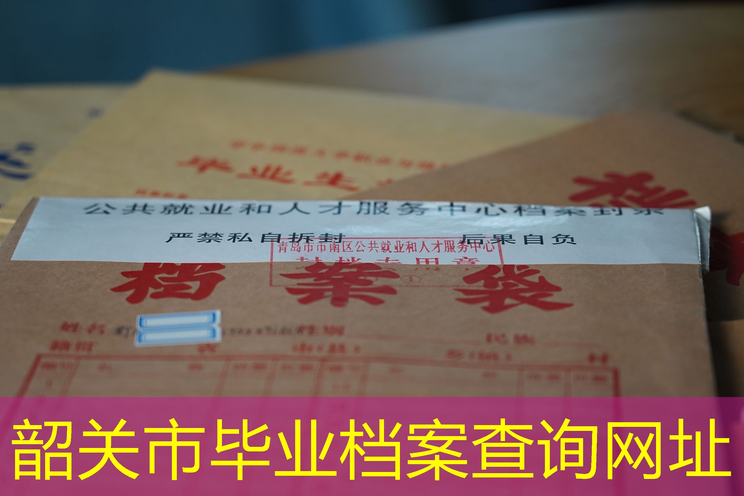 档案查询
