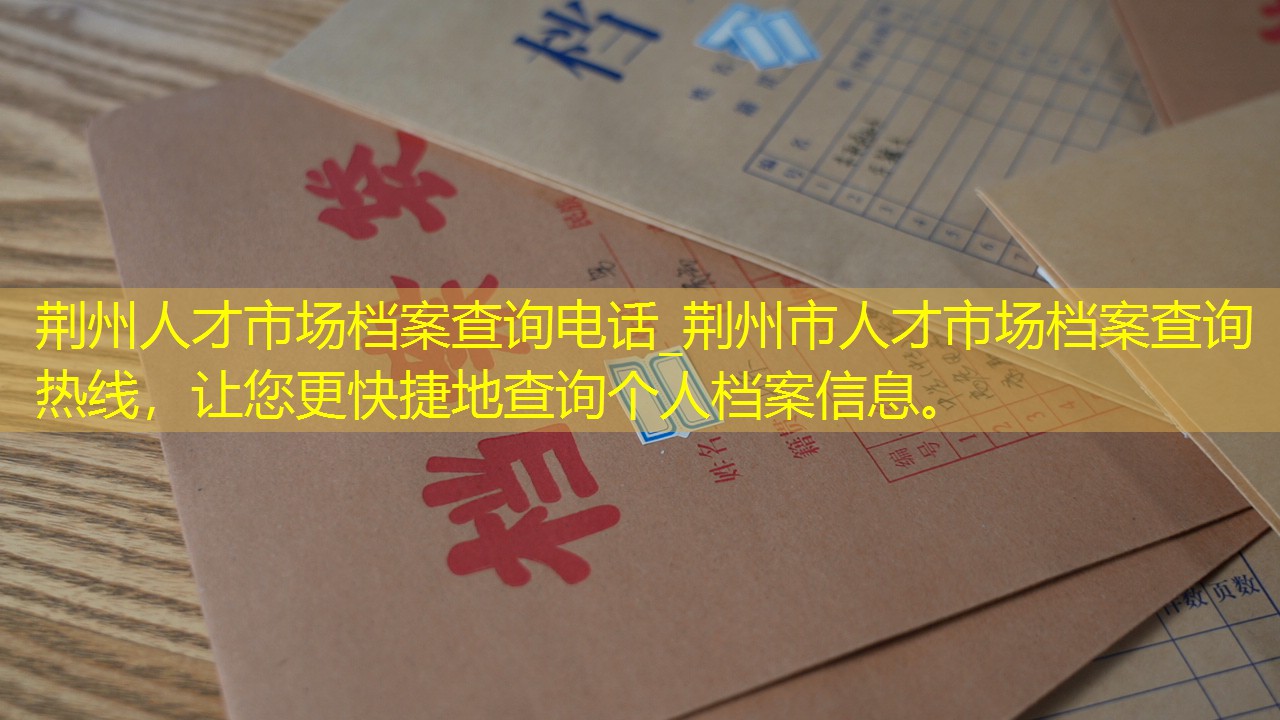 档案查询