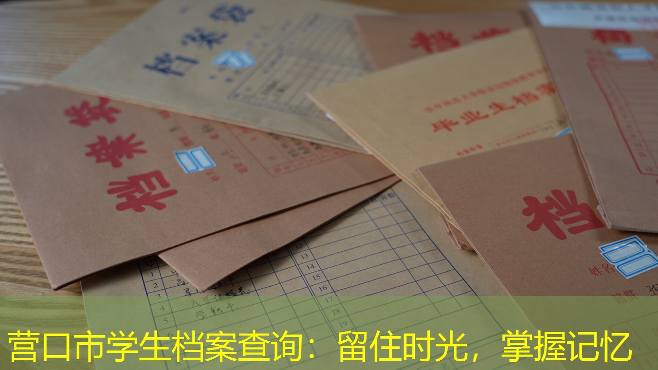 档案查询