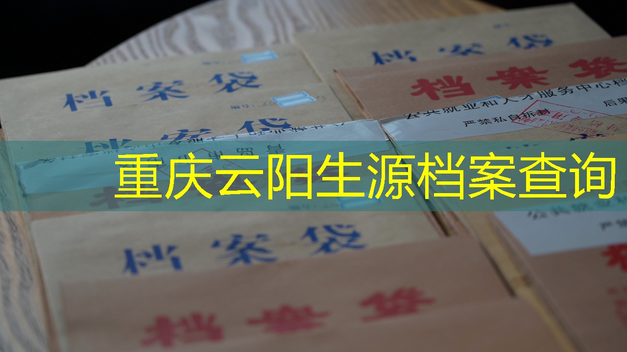 档案查询