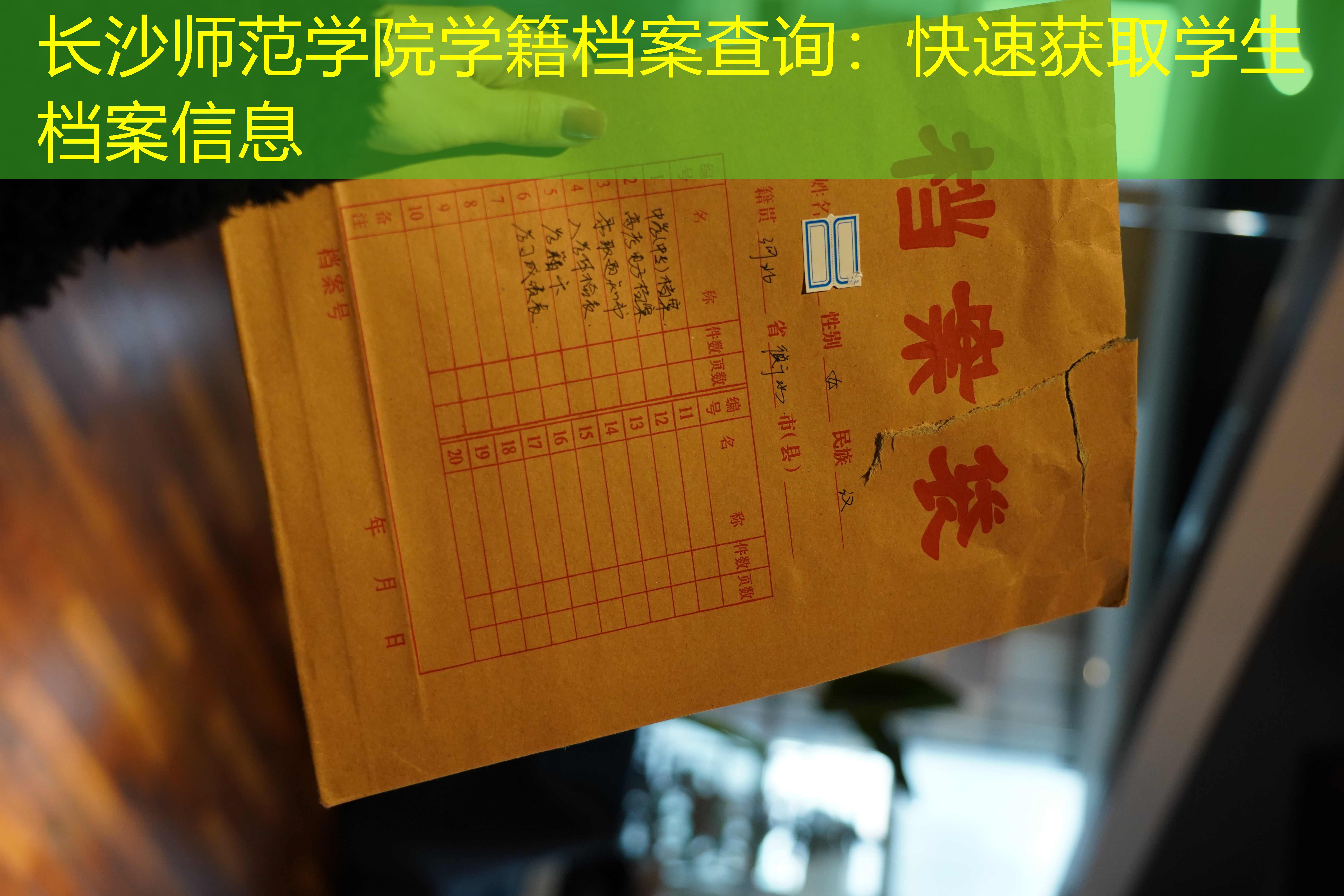 档案查询