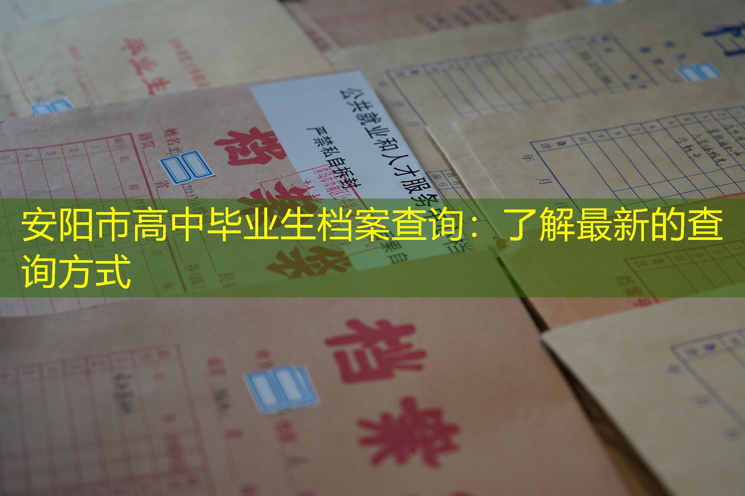 档案查询