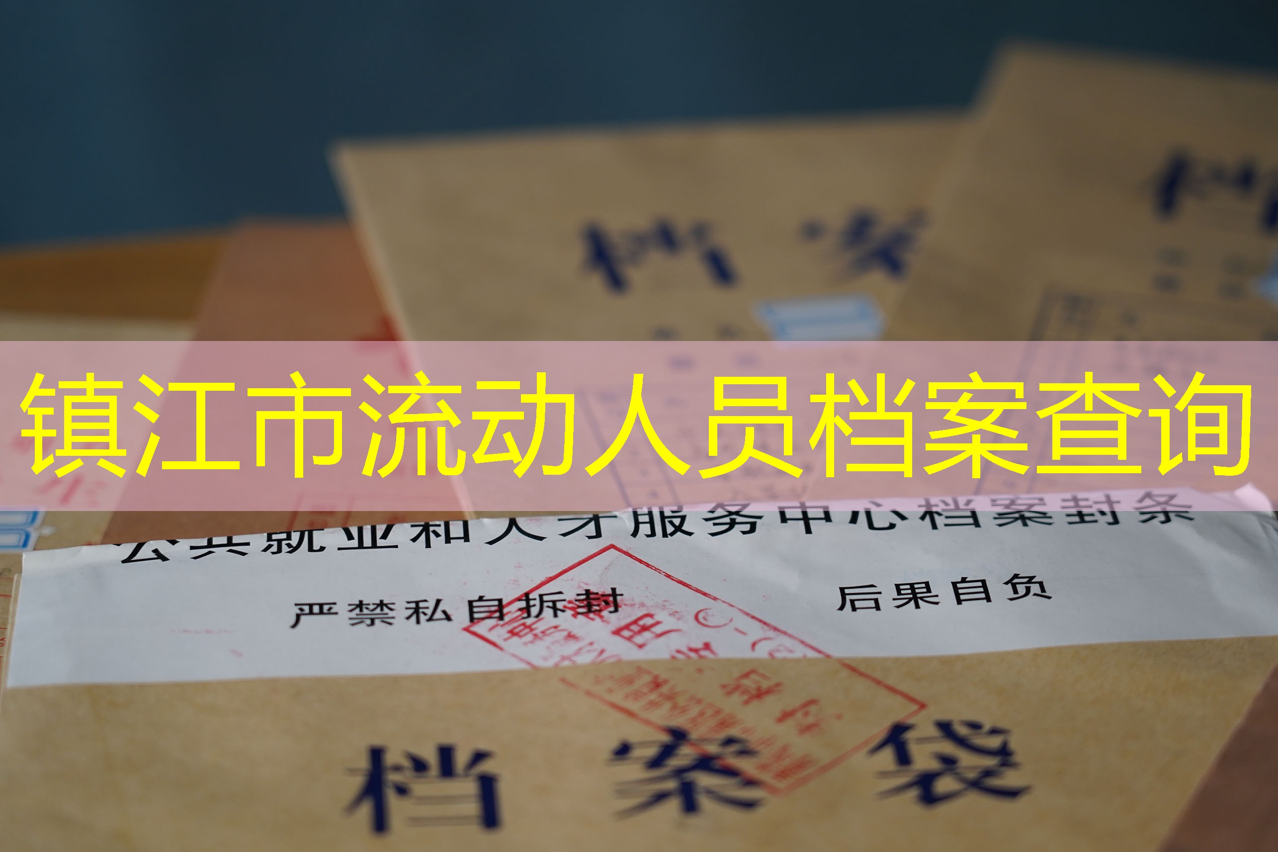 档案查询