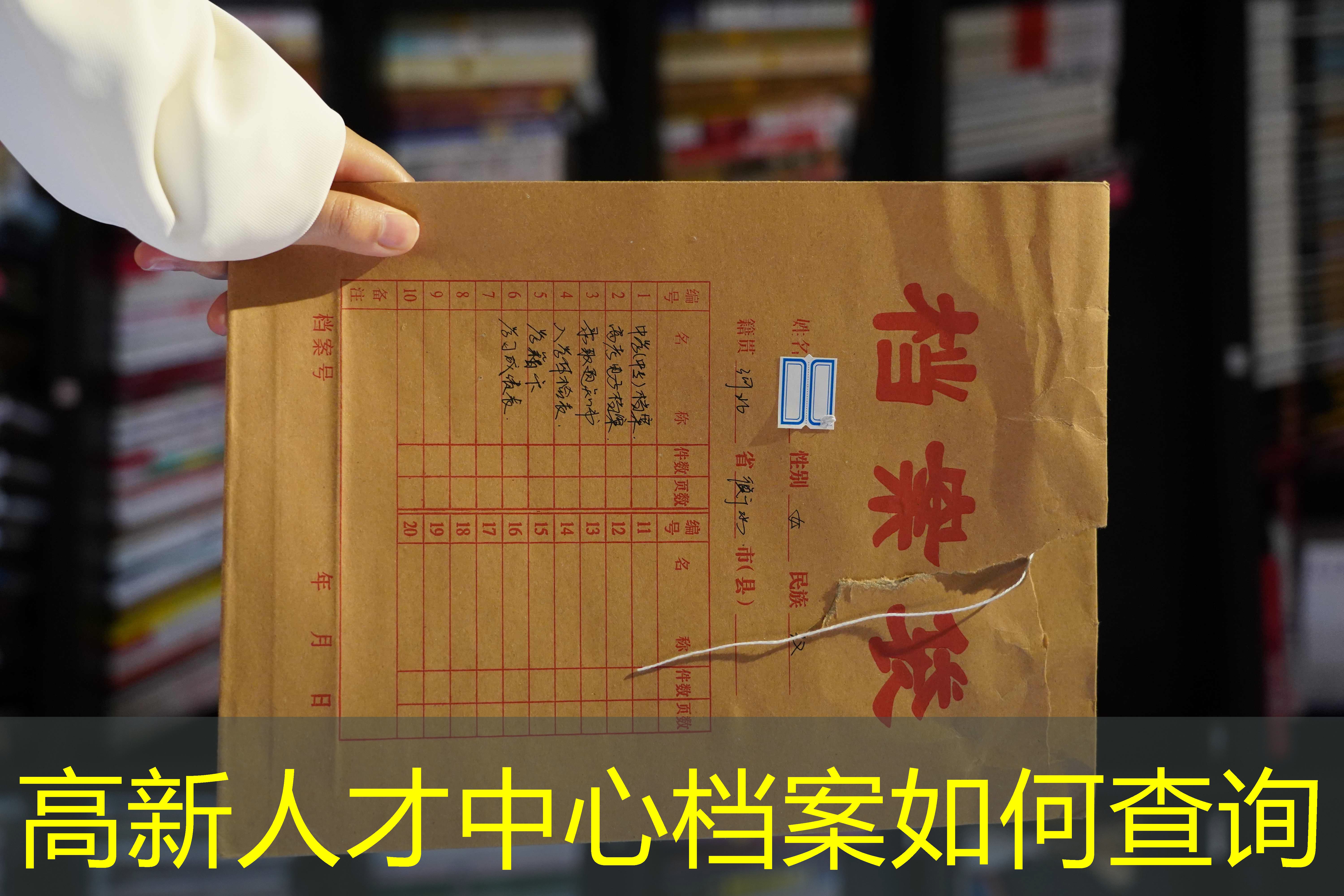 档案查询