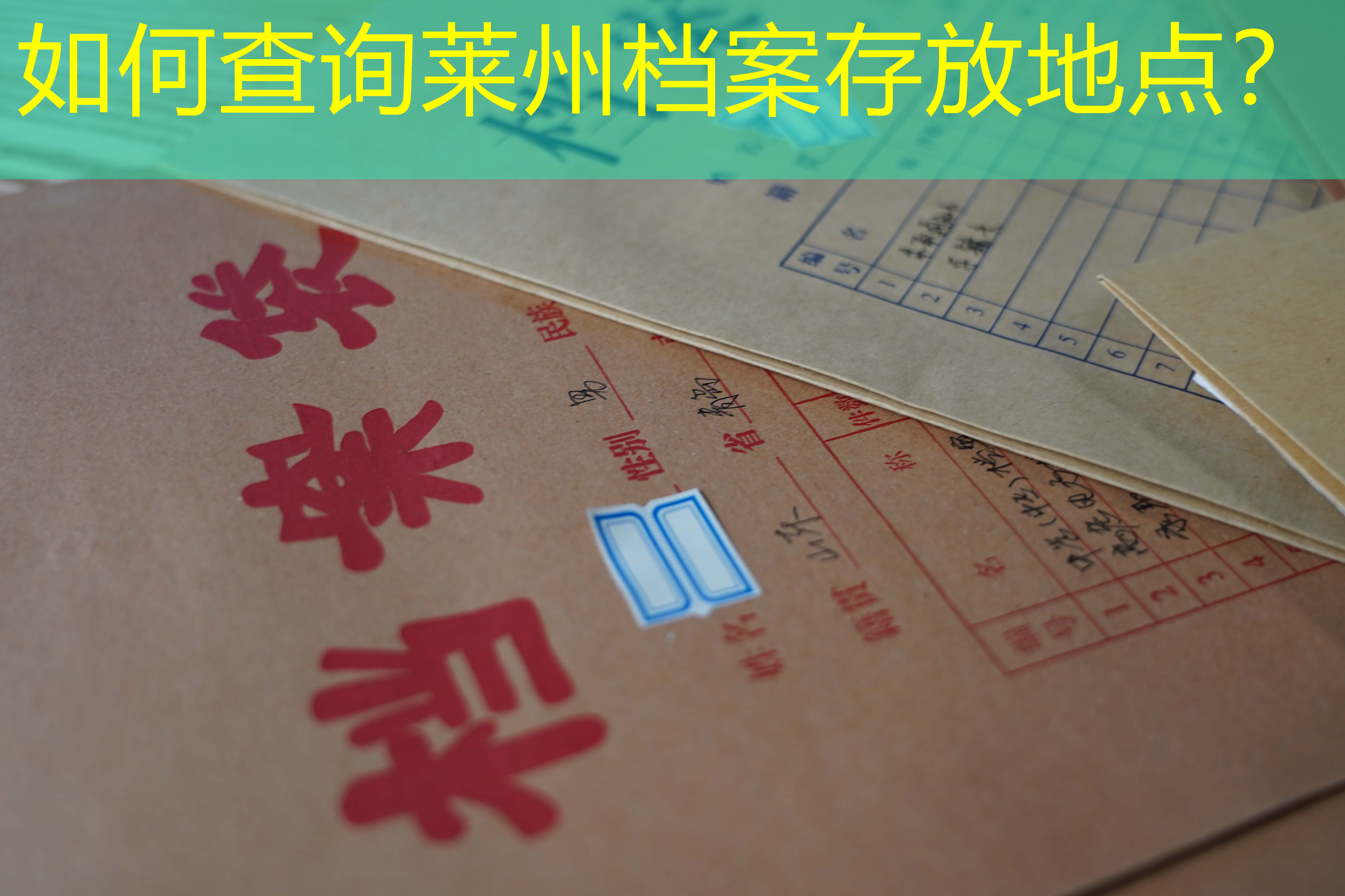档案查询