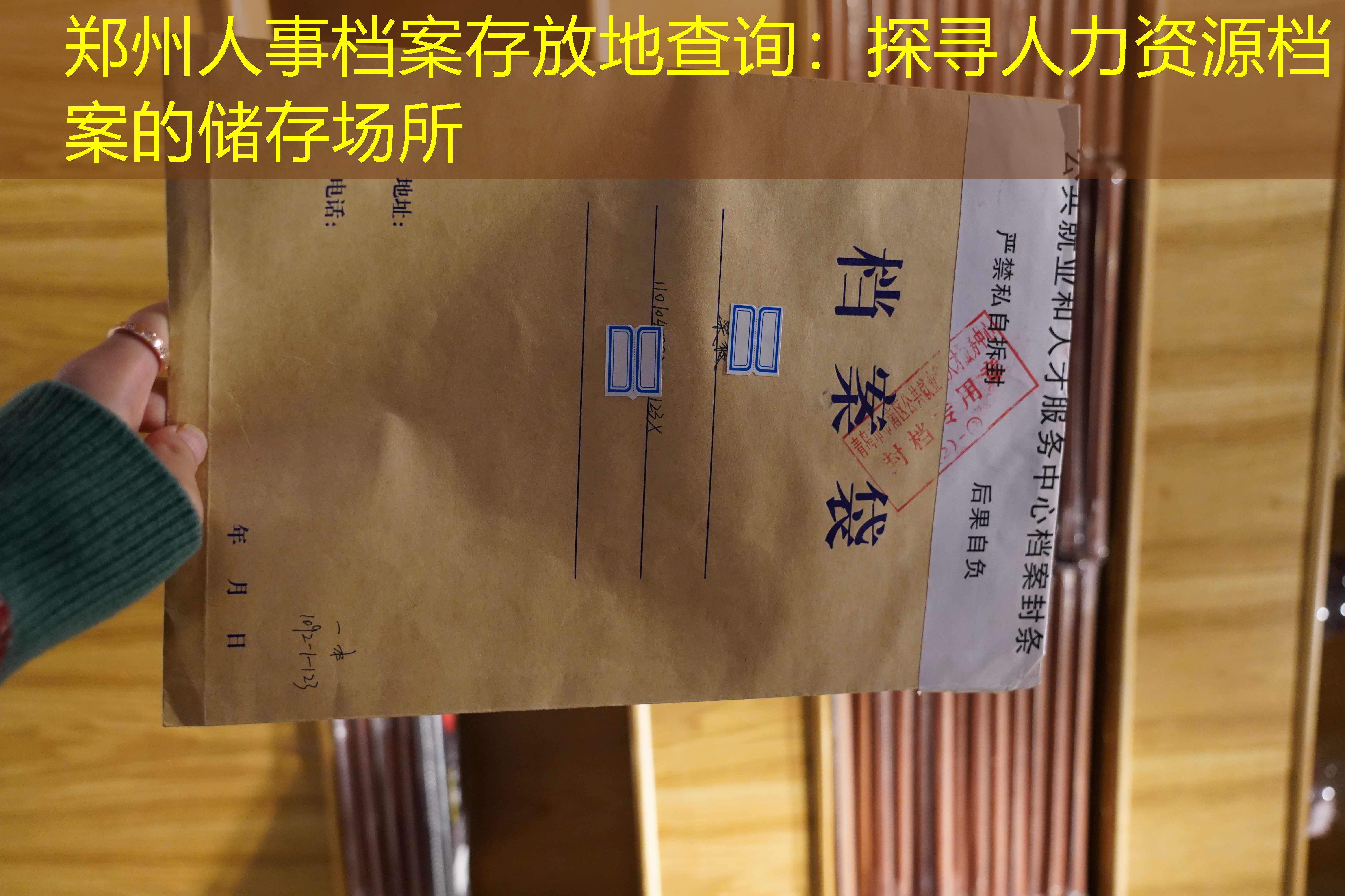 档案查询