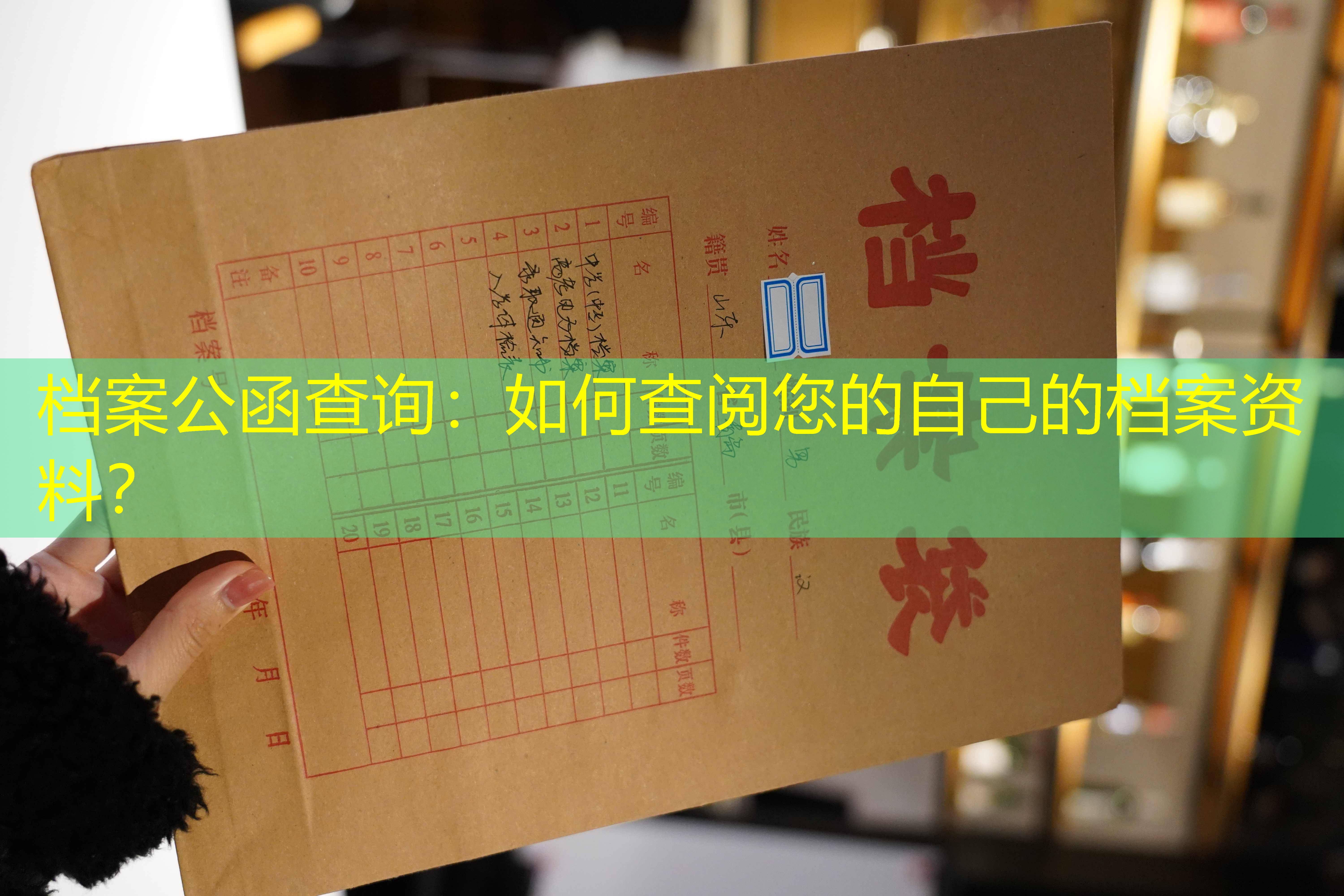 档案查询