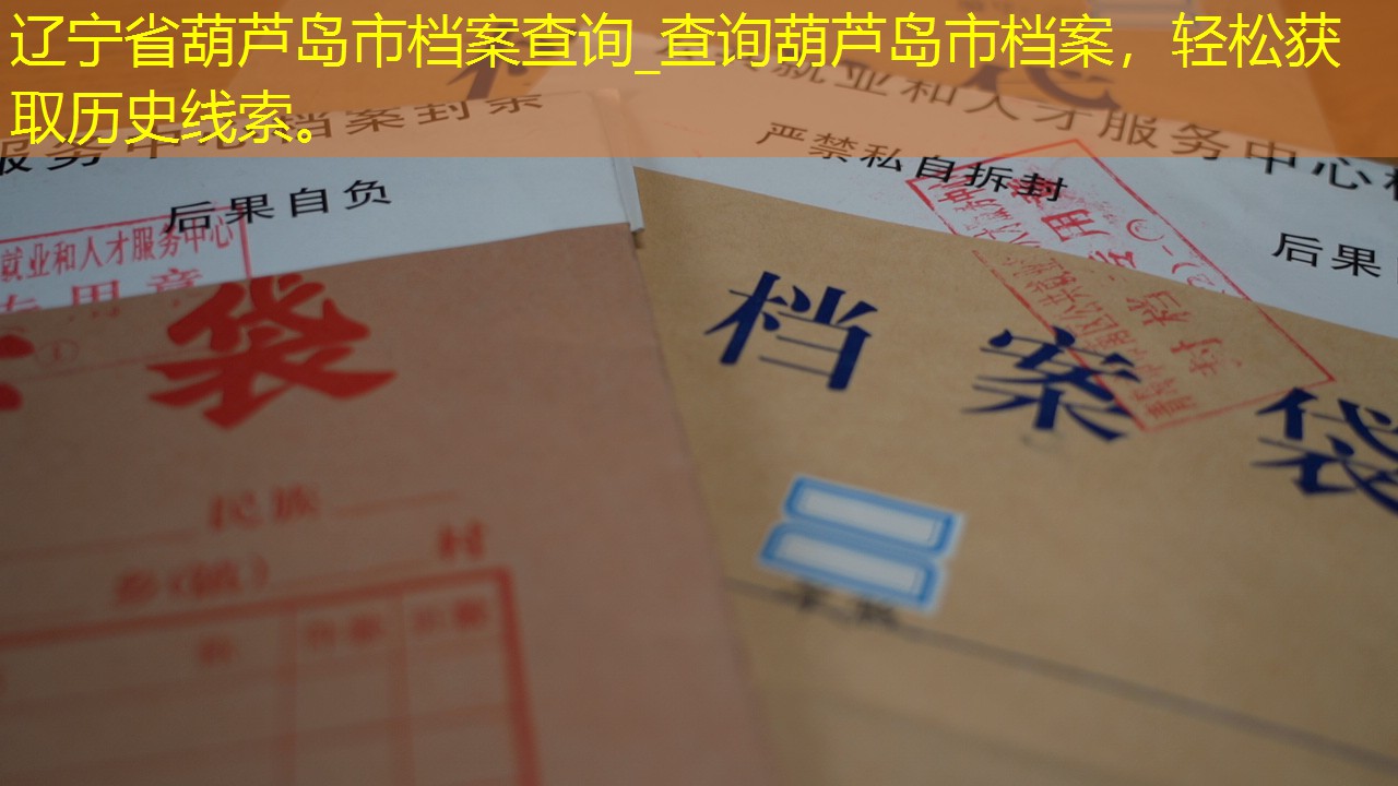 档案查询