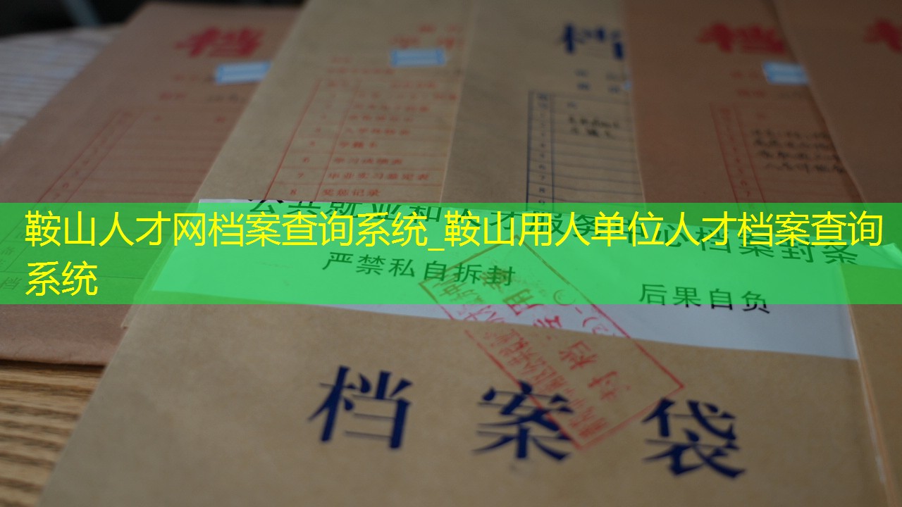 档案查询