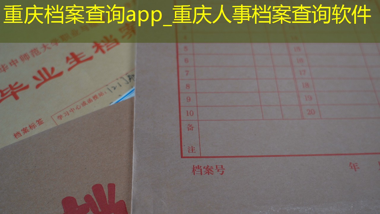 档案查询