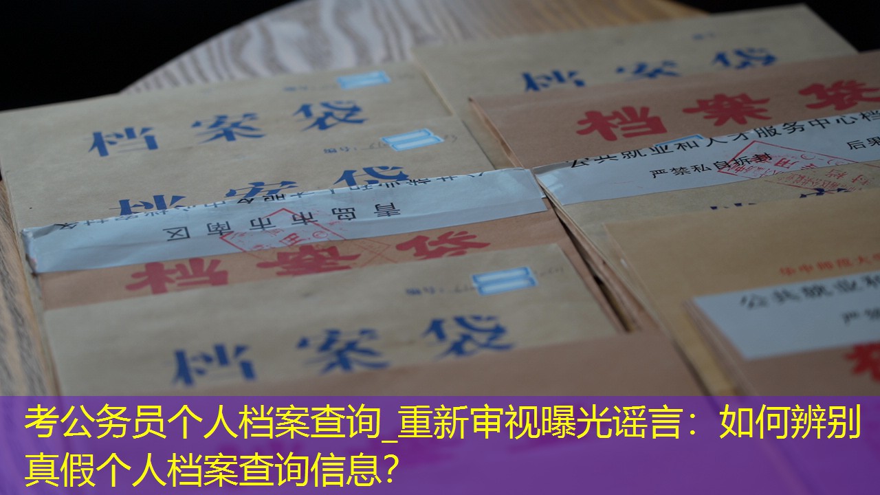 档案查询