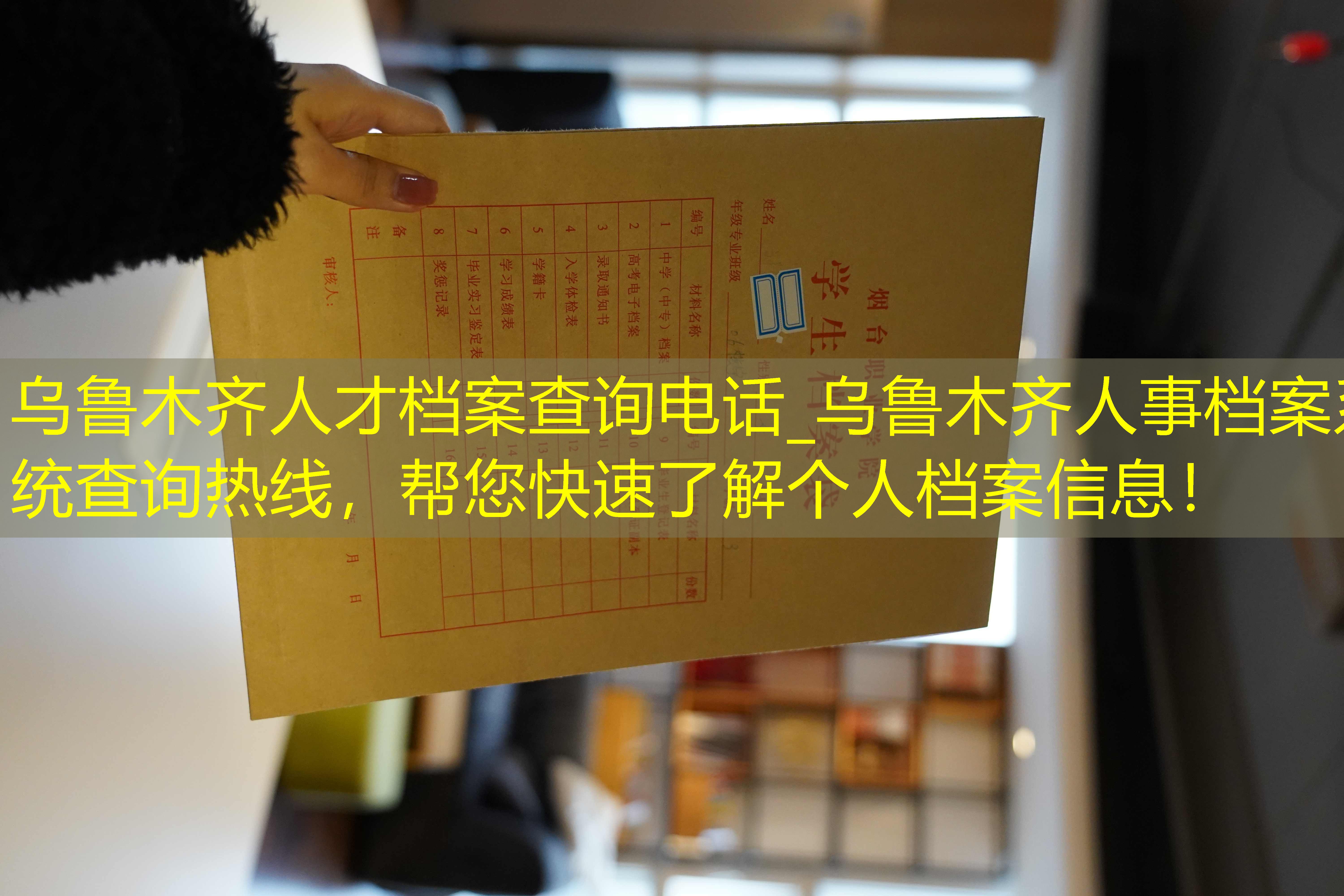 档案查询