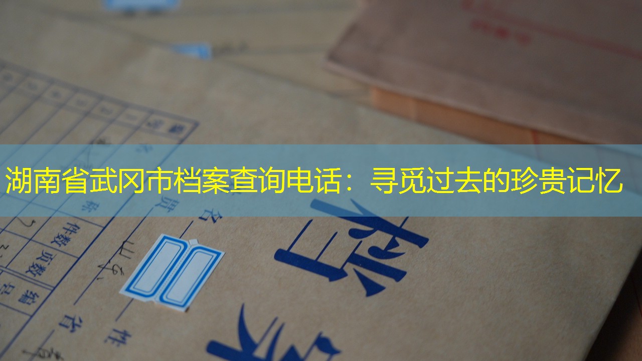 档案查询
