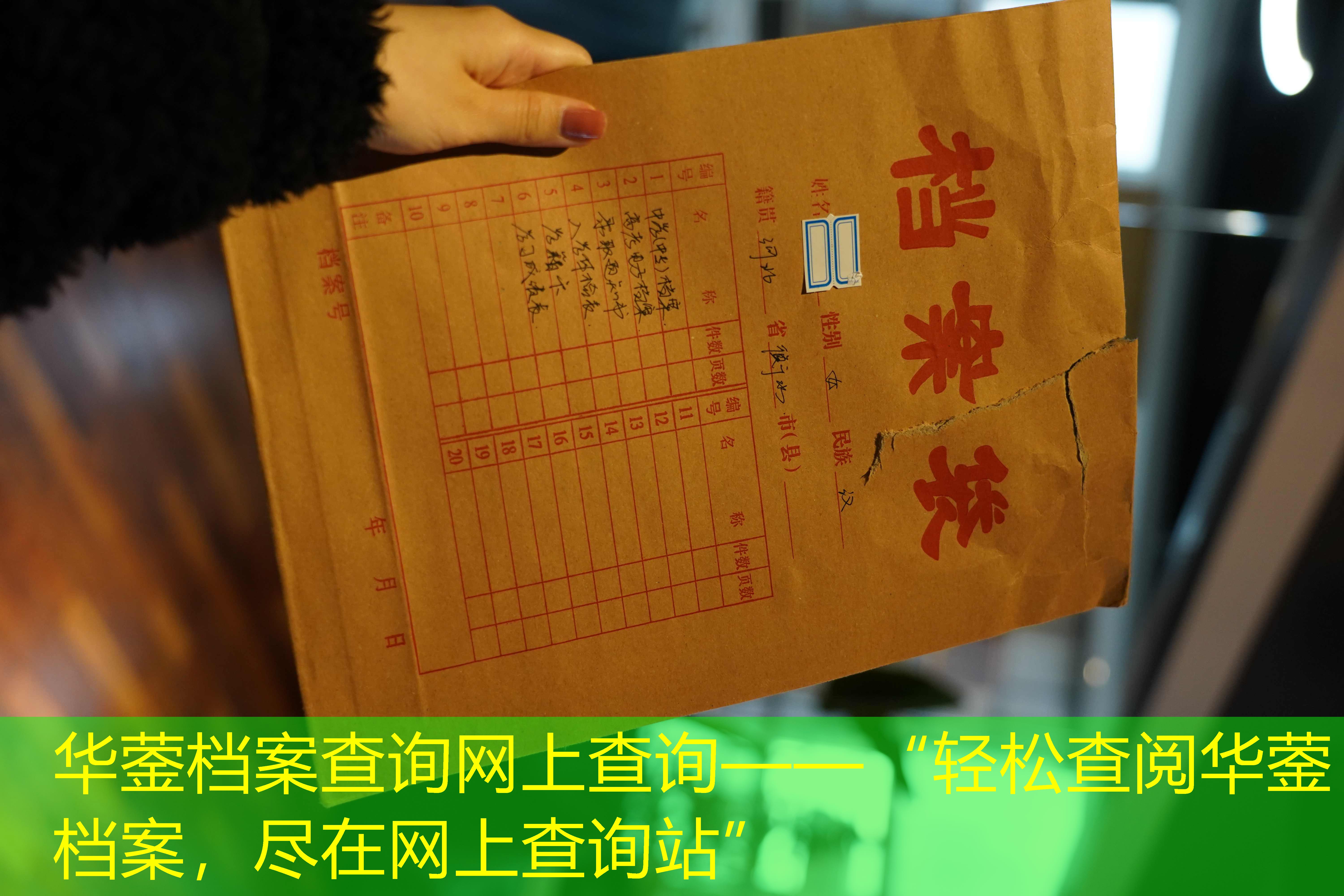 档案查询