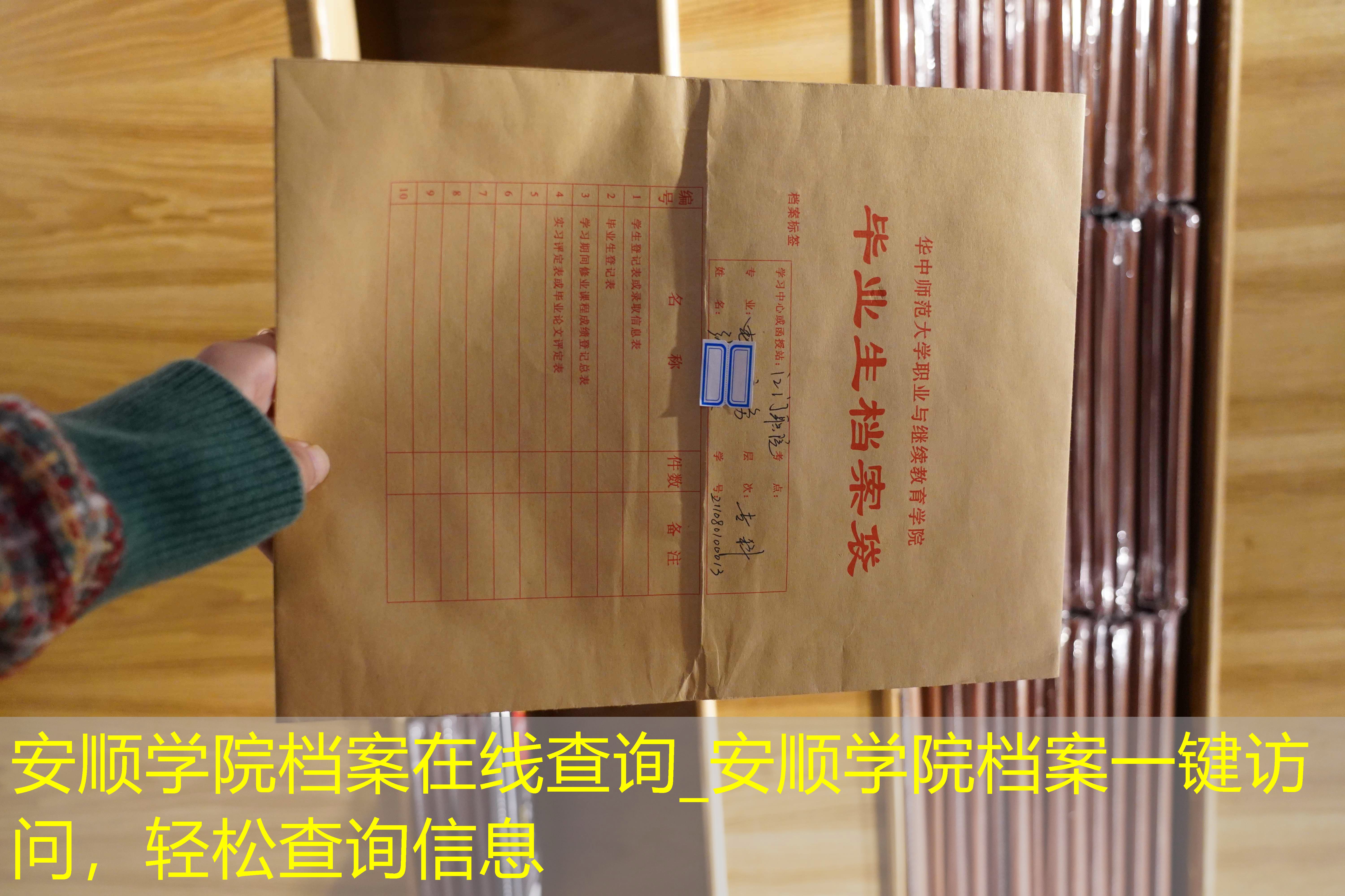 档案查询