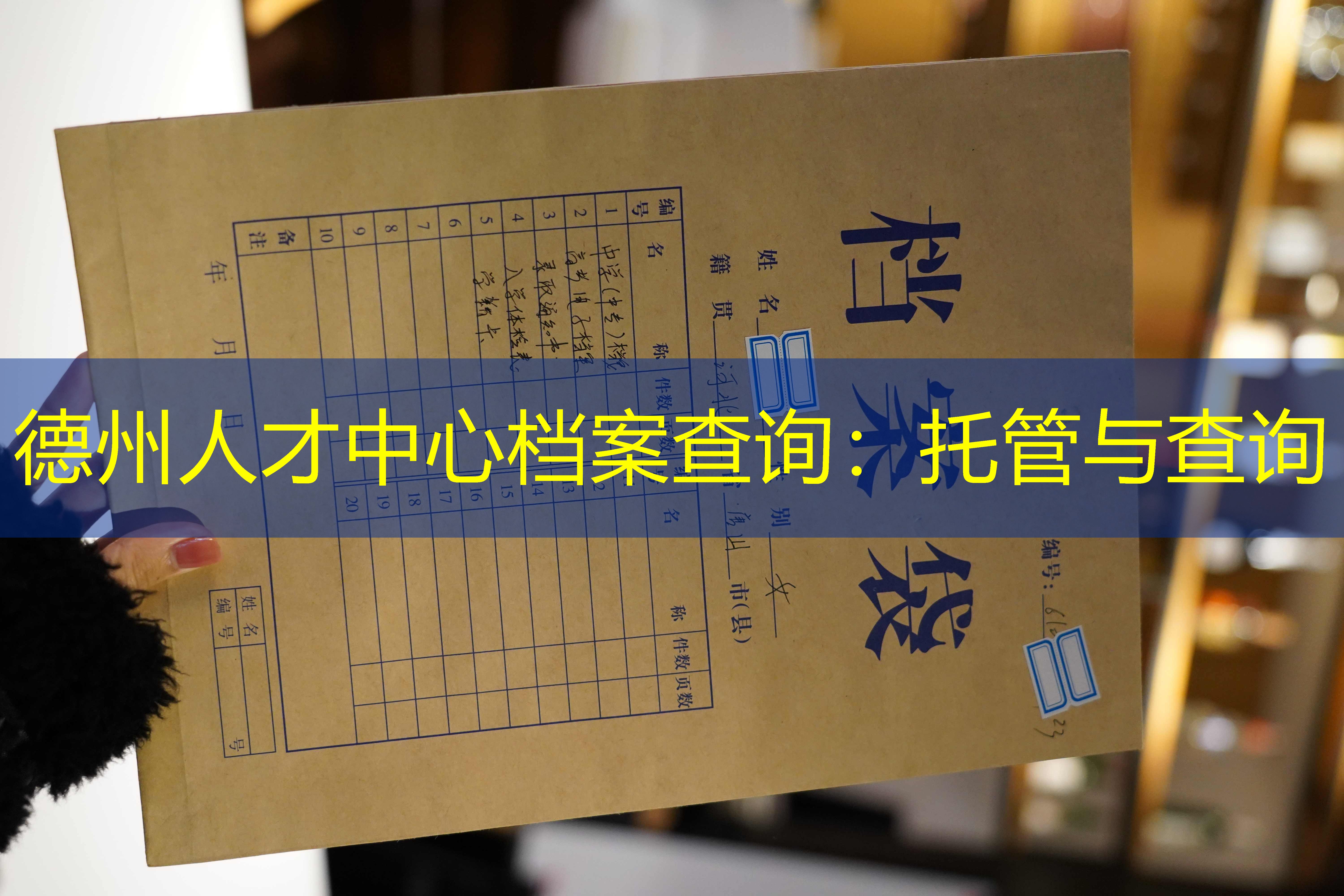 档案查询