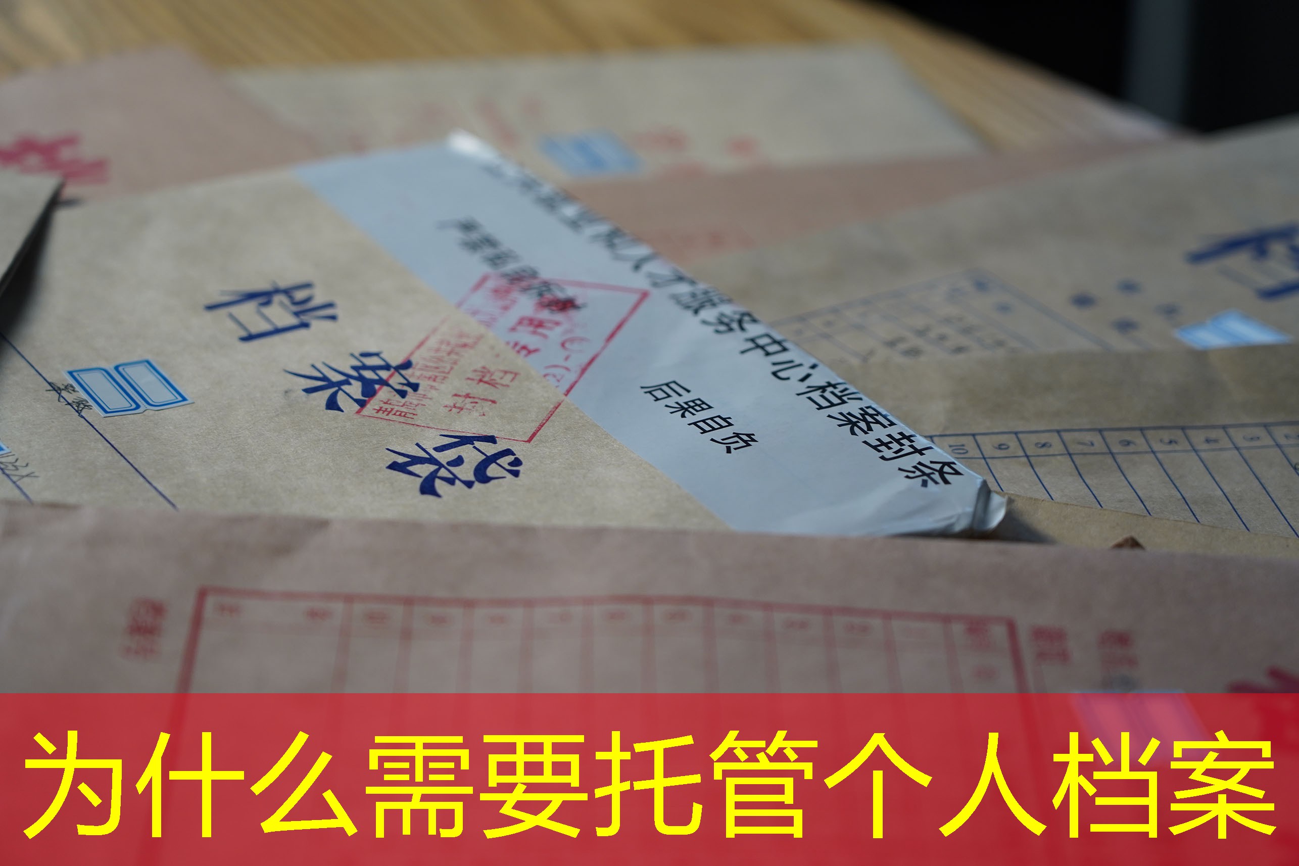 档案查询