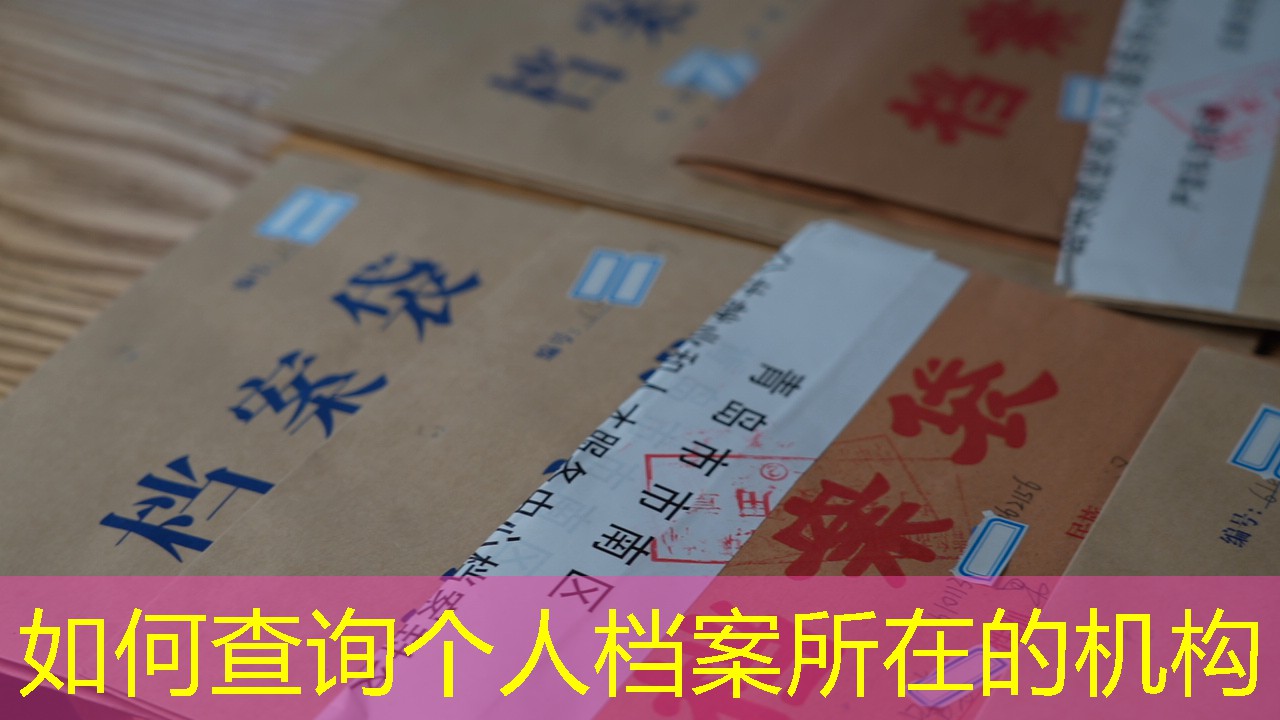 档案查询