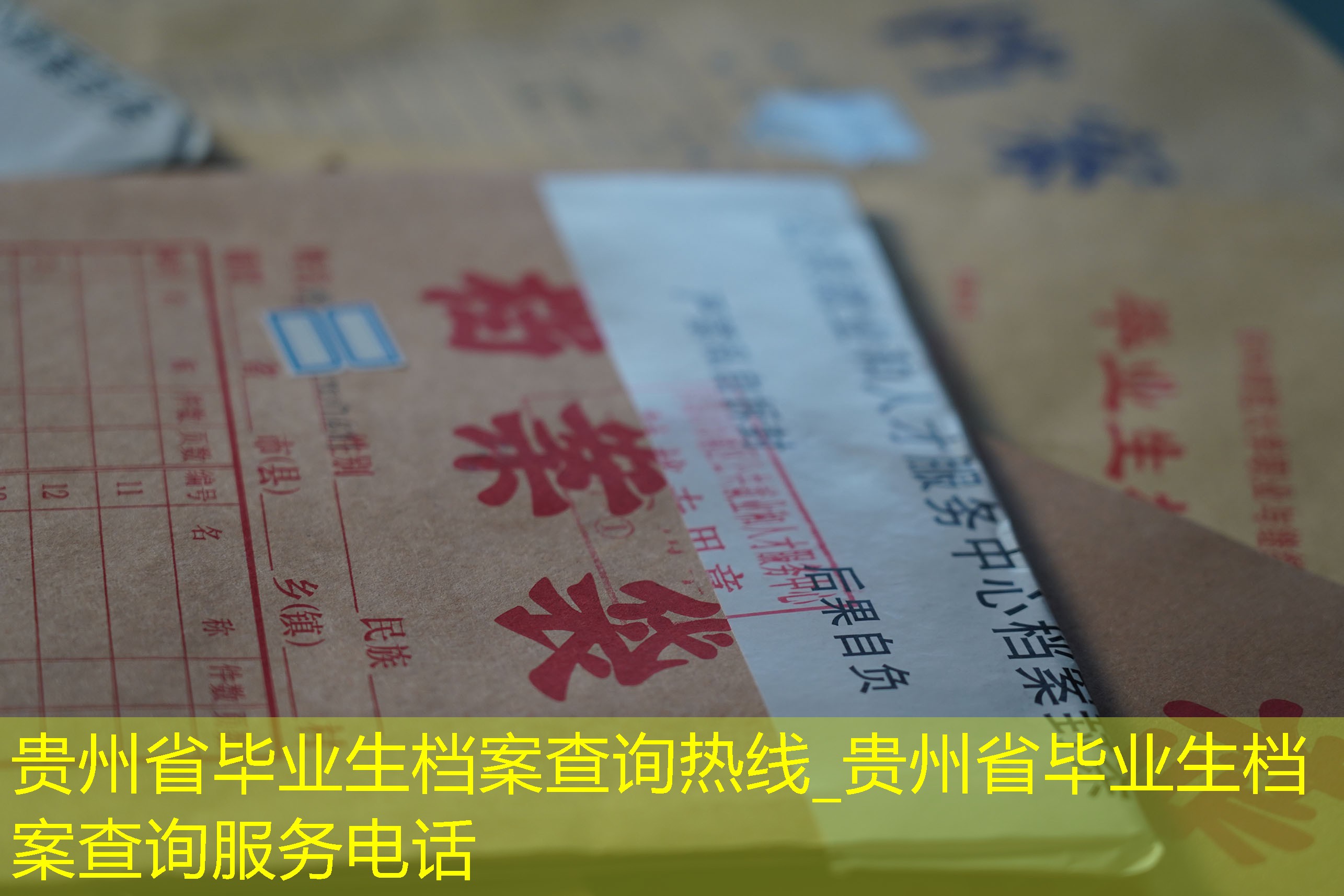 档案查询