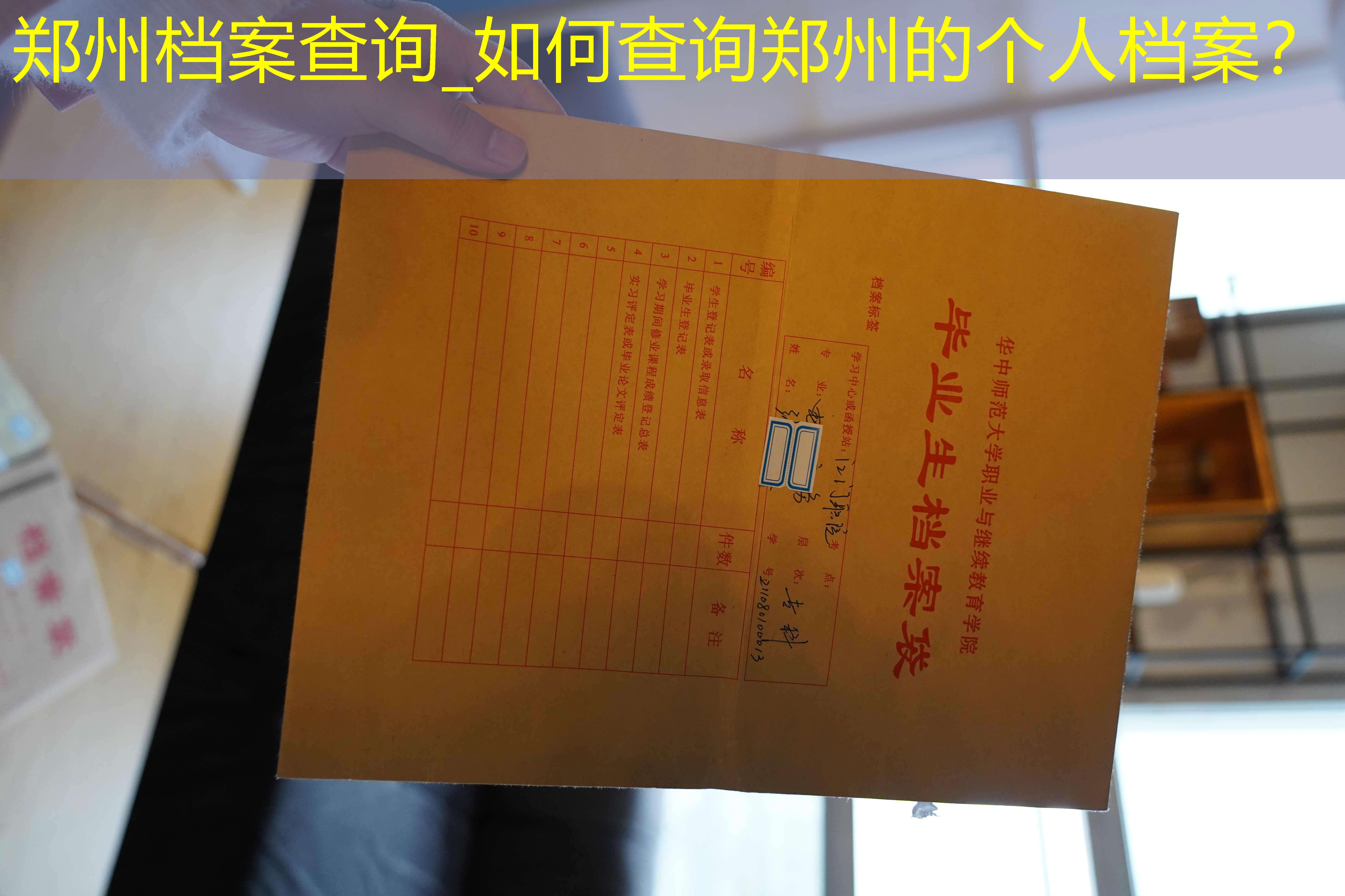 档案查询