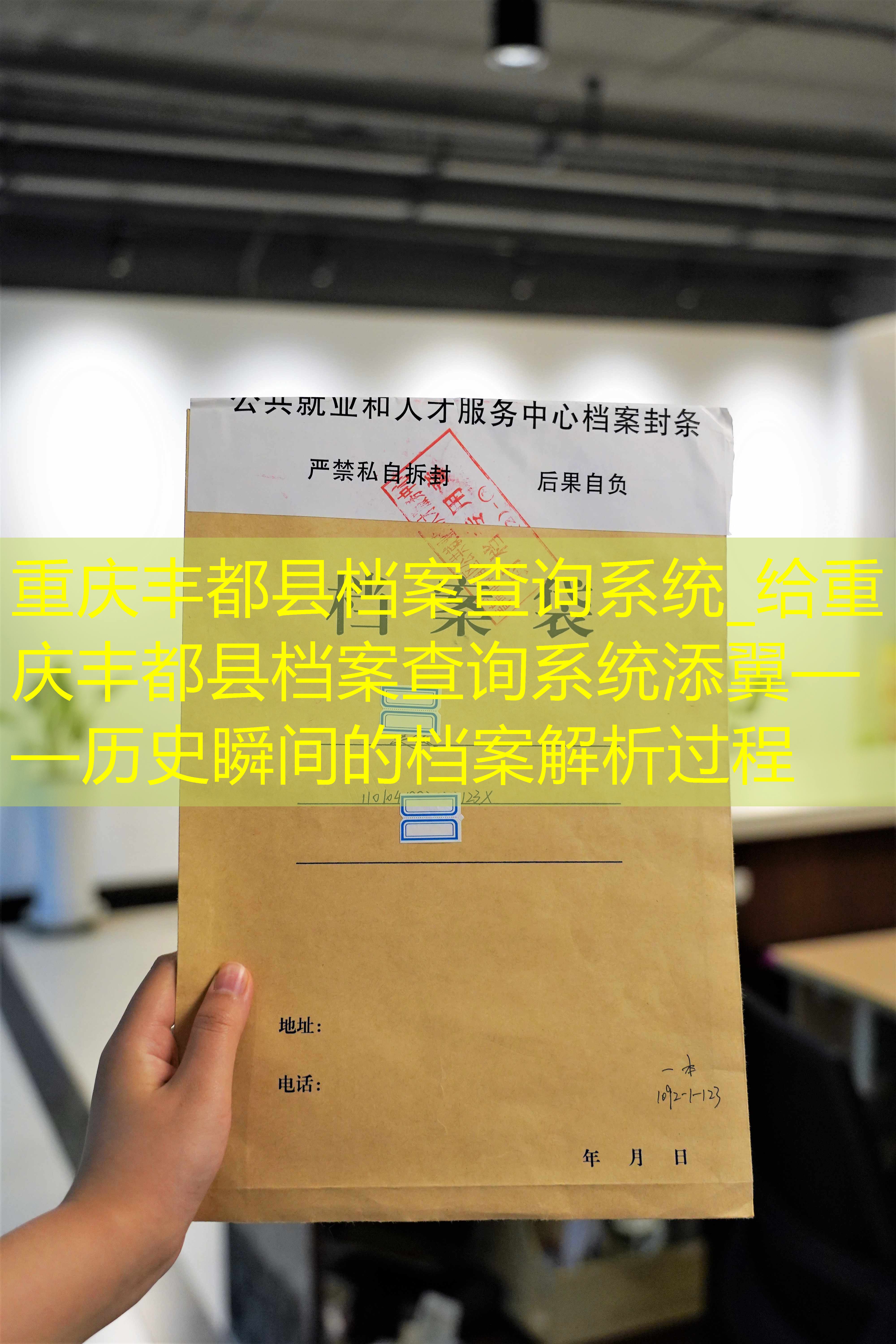档案查询