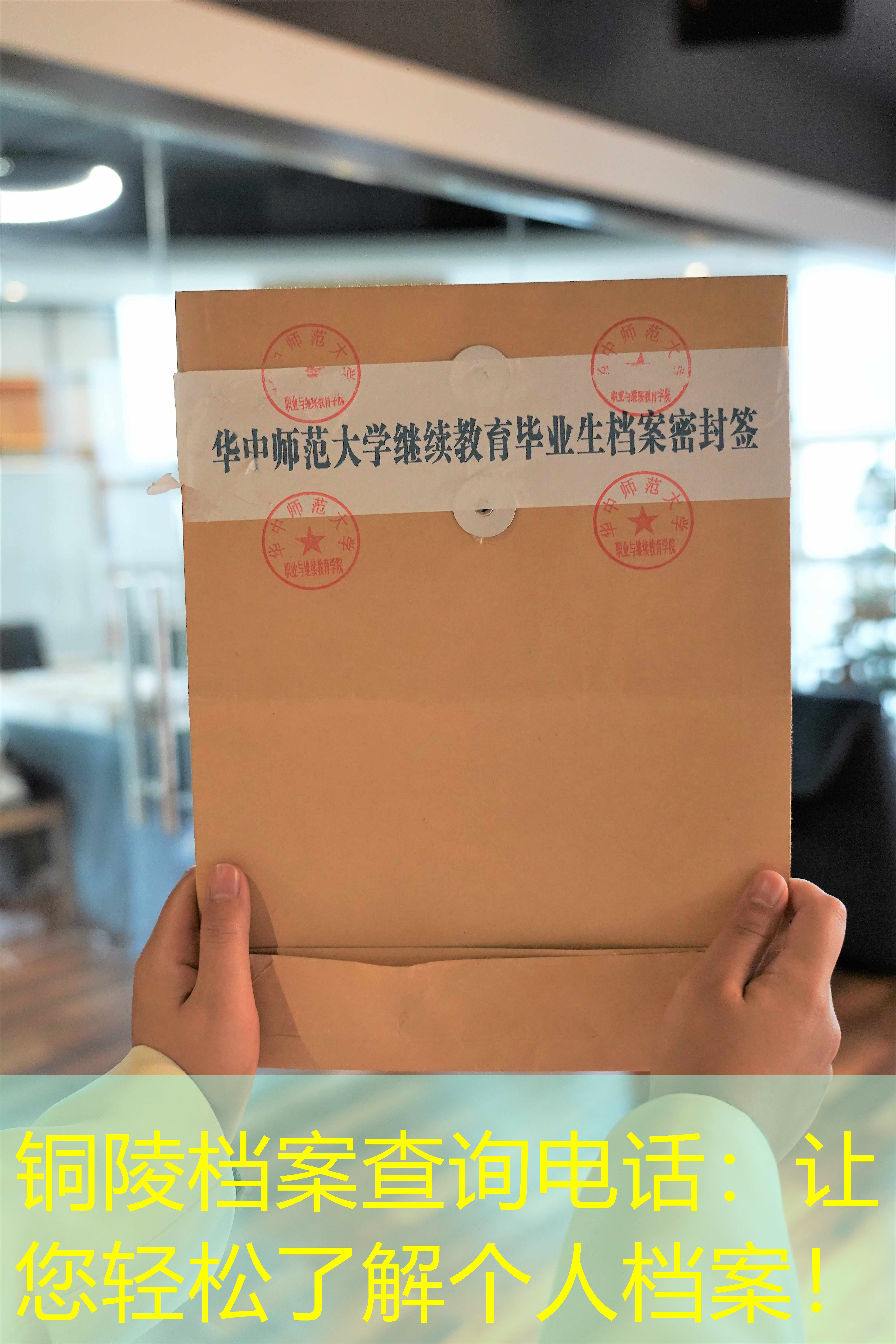 档案查询