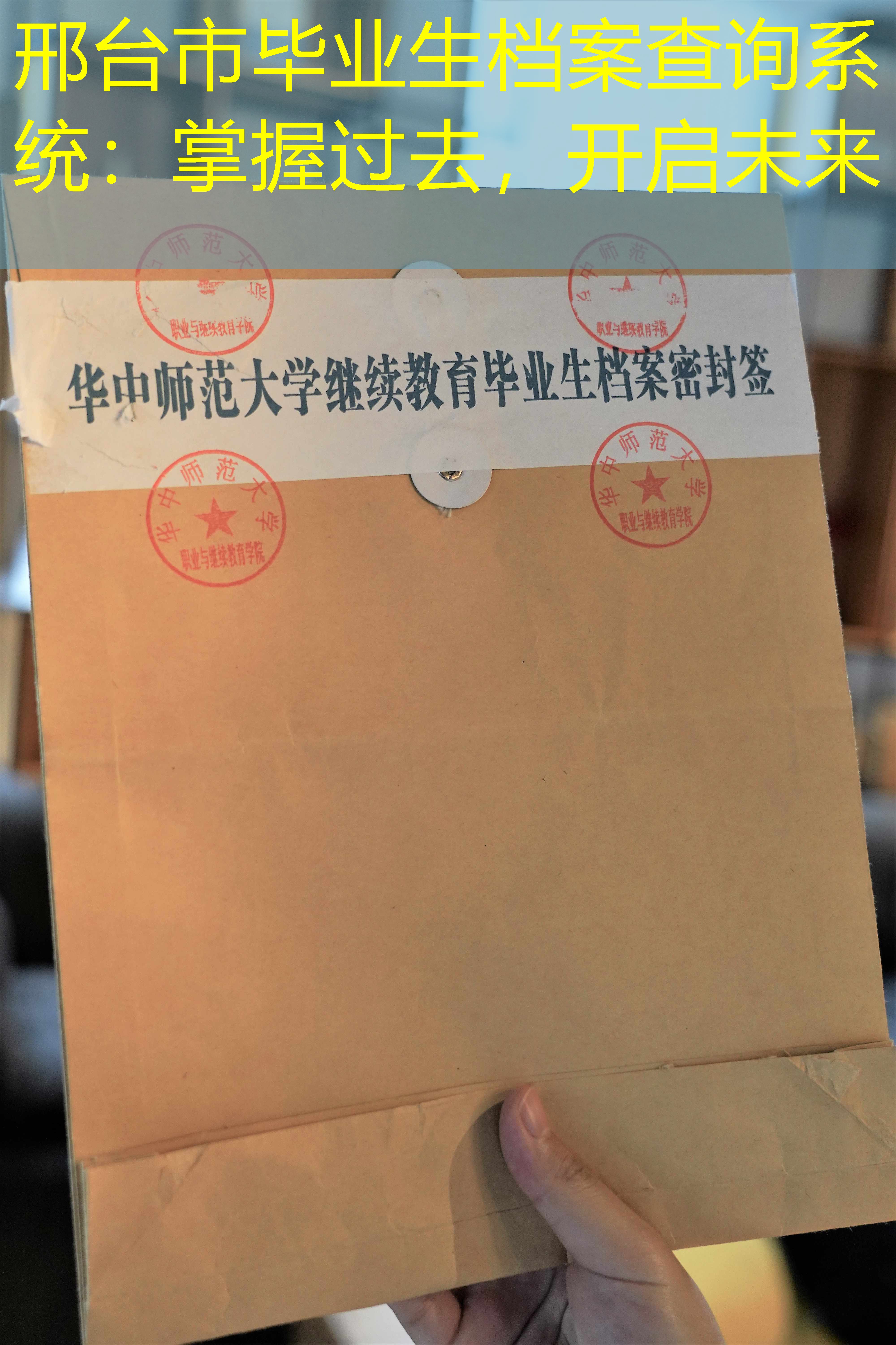 档案查询